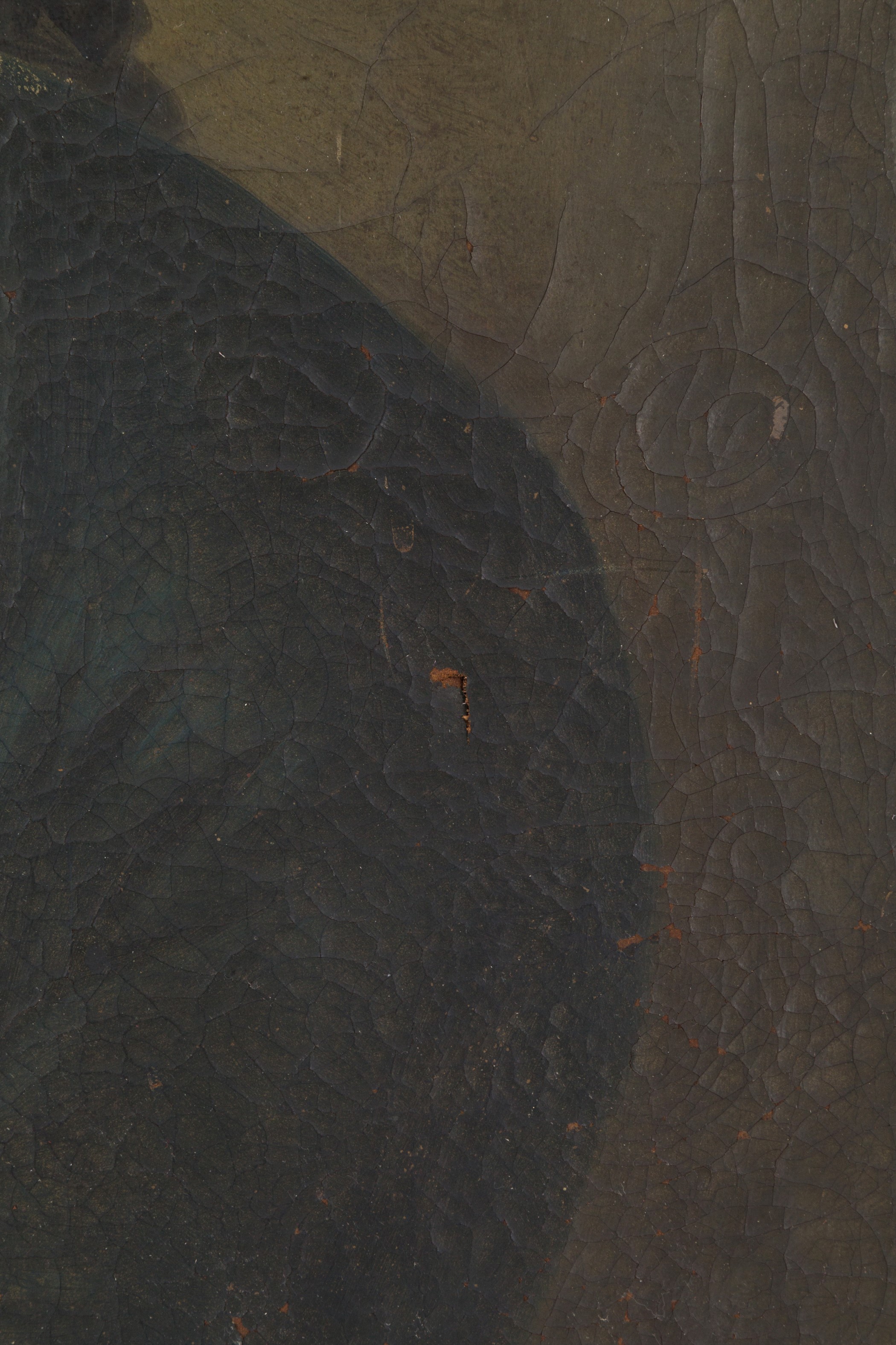 Dipinto ''RITRATTO DI NOBILUOMO''