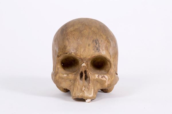Skull
