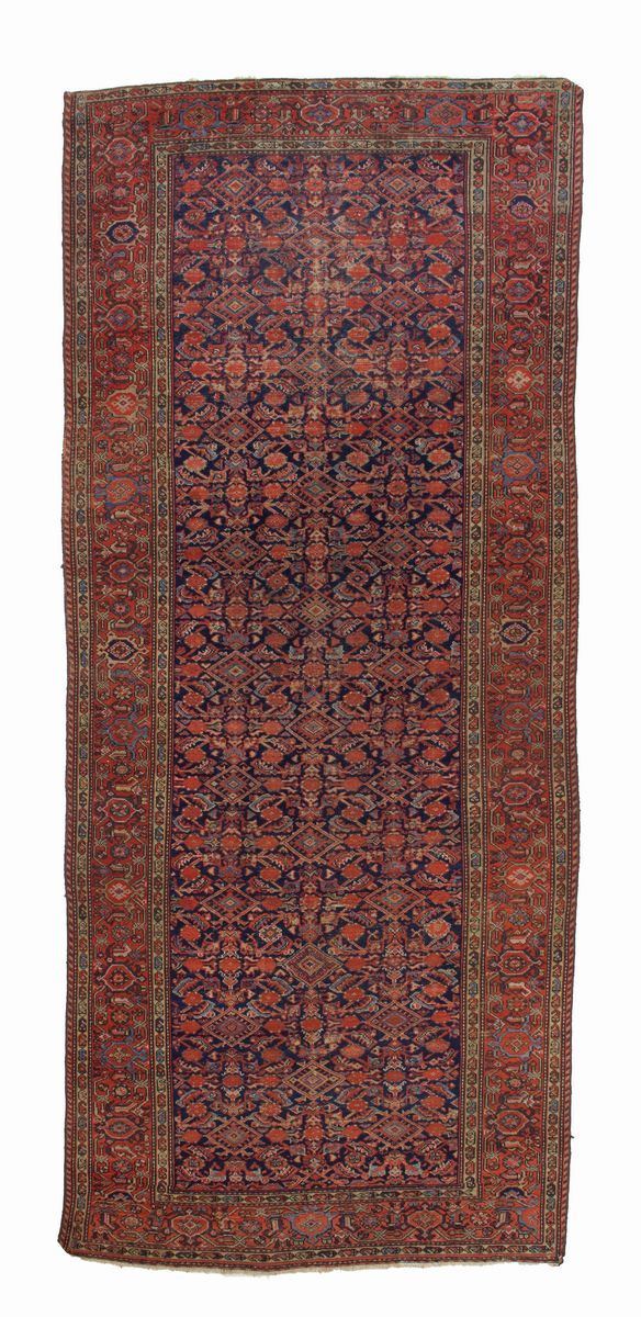 Kelley Malayer carpet