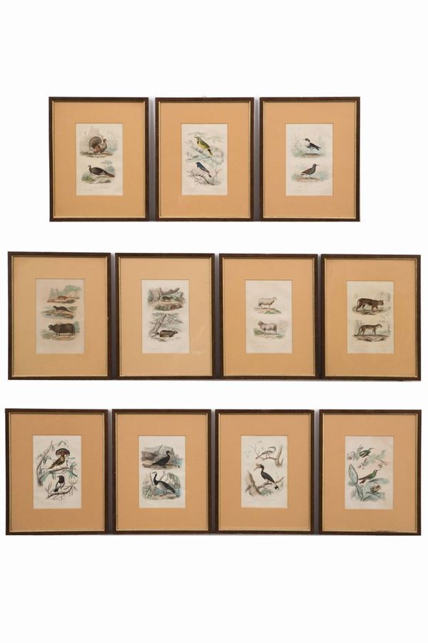 Eleven prints