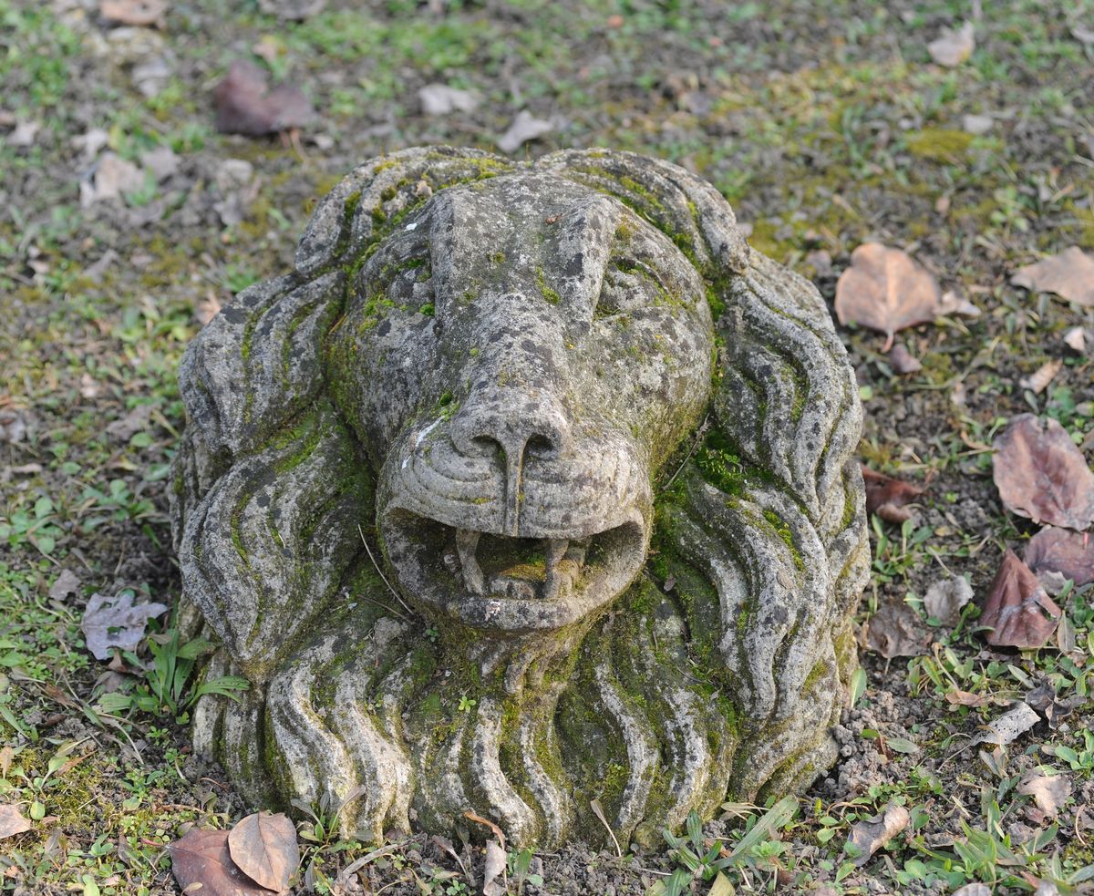 Scultura Testa Di Leone 3D In Resina - Decorazione Parete - Simbolo Di Potenza E Saggezza