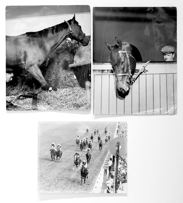 Tre fotografie equitazione