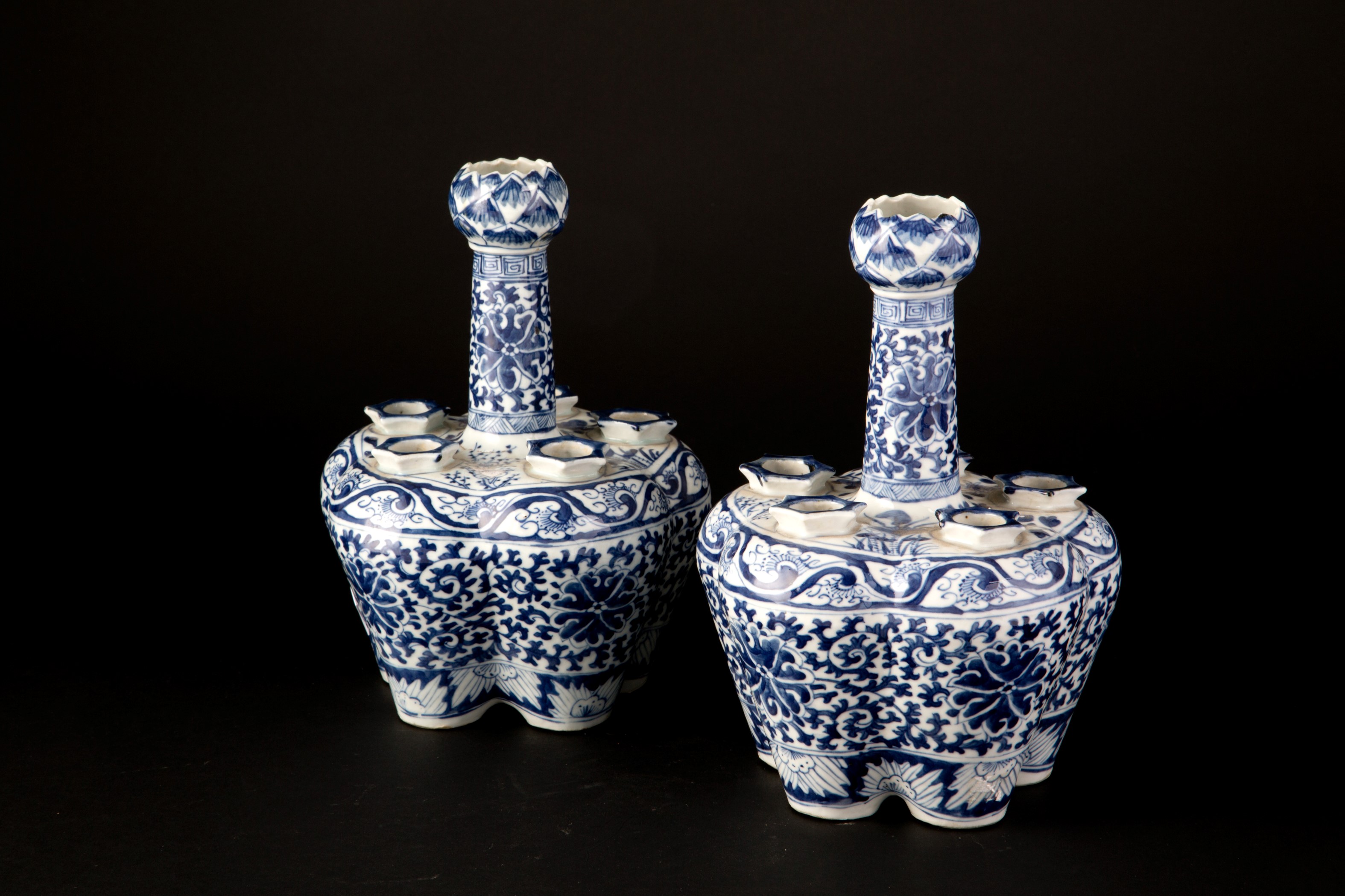 Coppia di tulipaniere