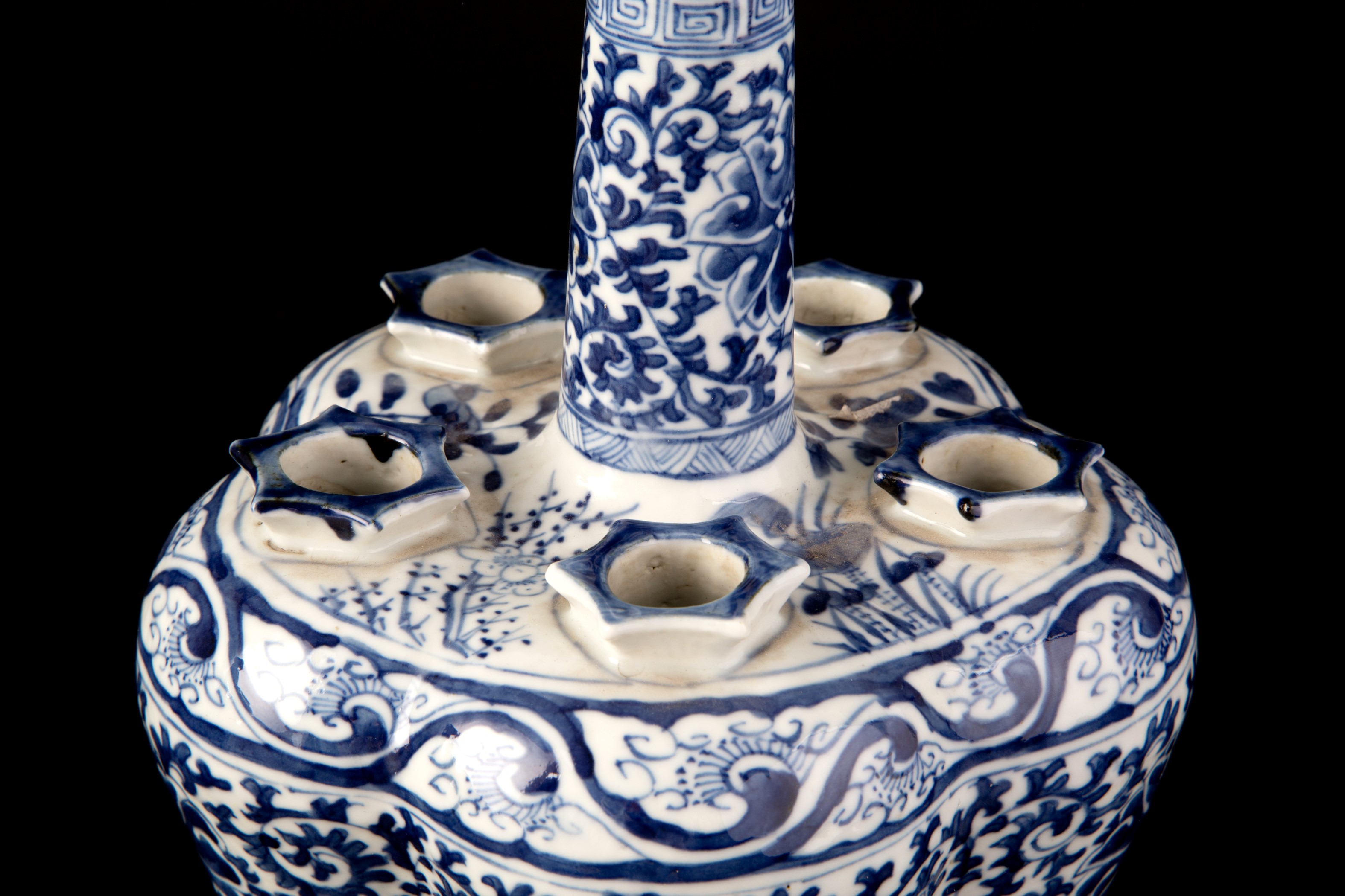 Coppia di tulipaniere