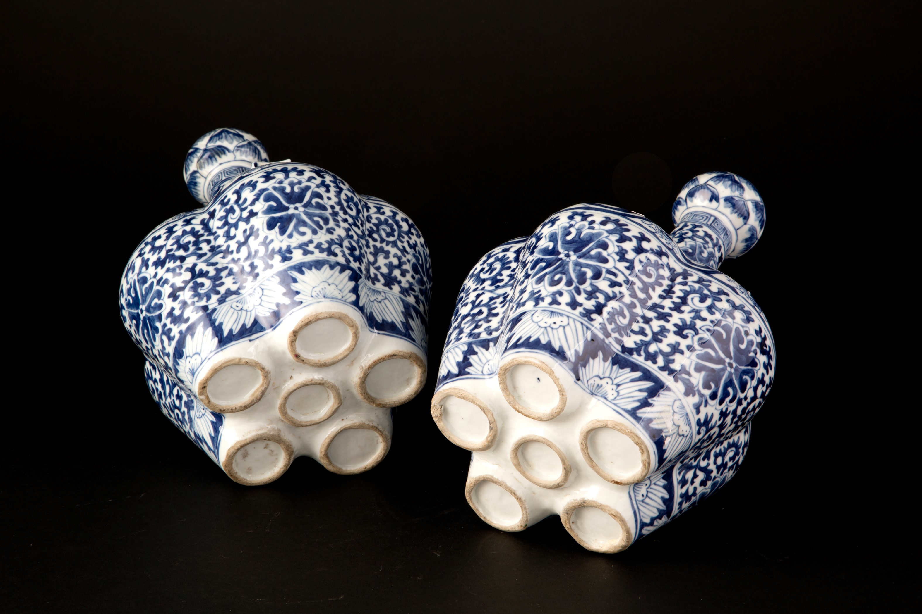 Coppia di tulipaniere