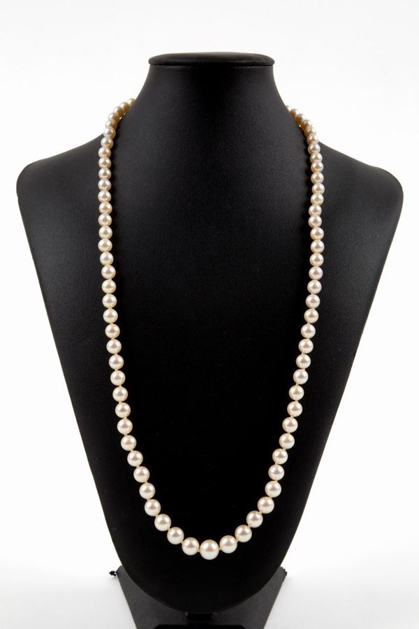 Akoja pearl string