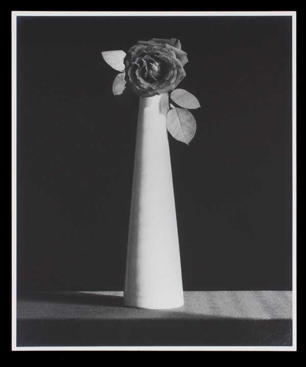 ROBERT MAPPLETHORPE - "ROSE, 1986"