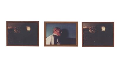 "ritratto Terrestre, 1978"