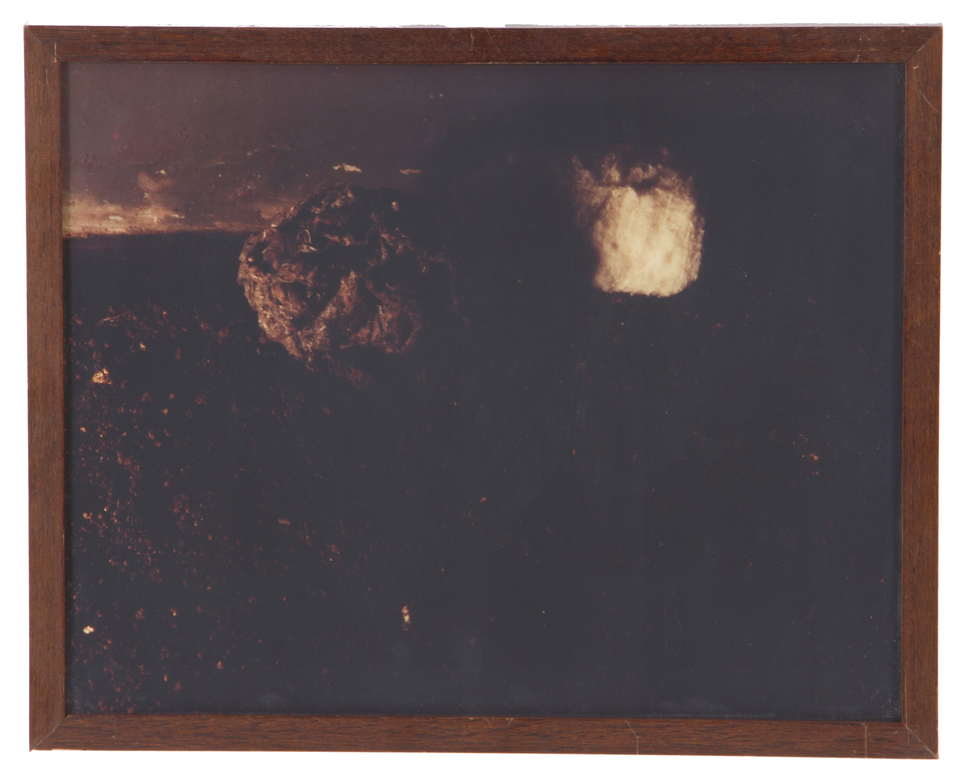 Michele Zaza - "ritratto Terrestre, 1978"