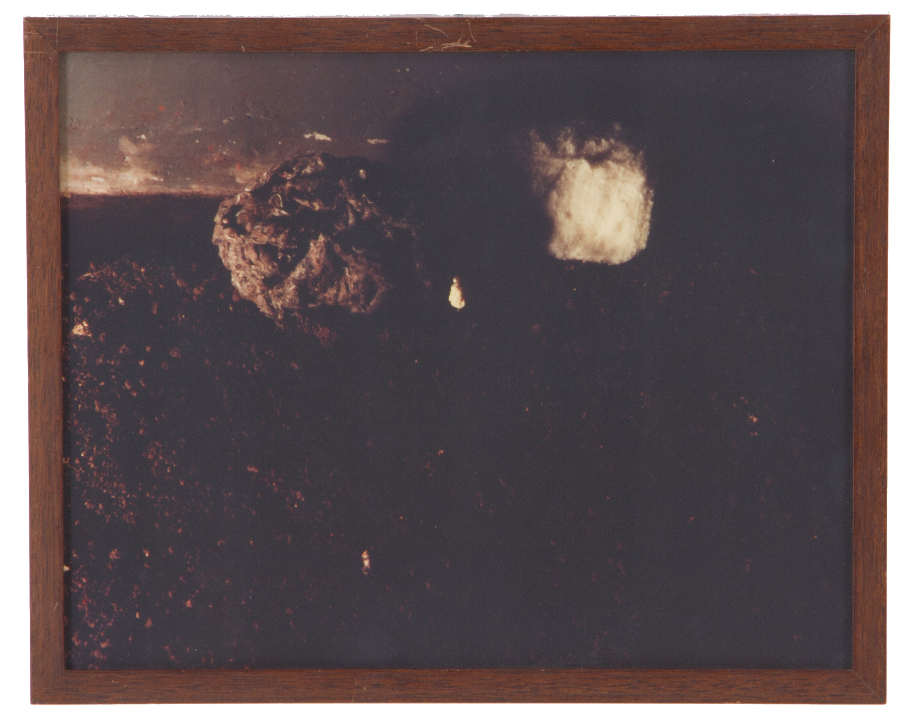 Michele Zaza - "ritratto Terrestre, 1978"