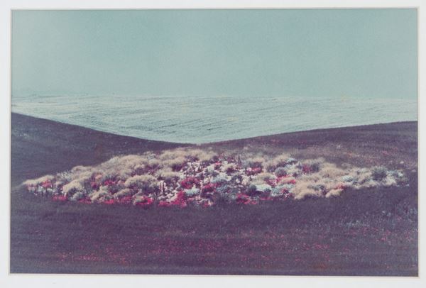FRANCO FONTANA - "PUGLIA, 1975"