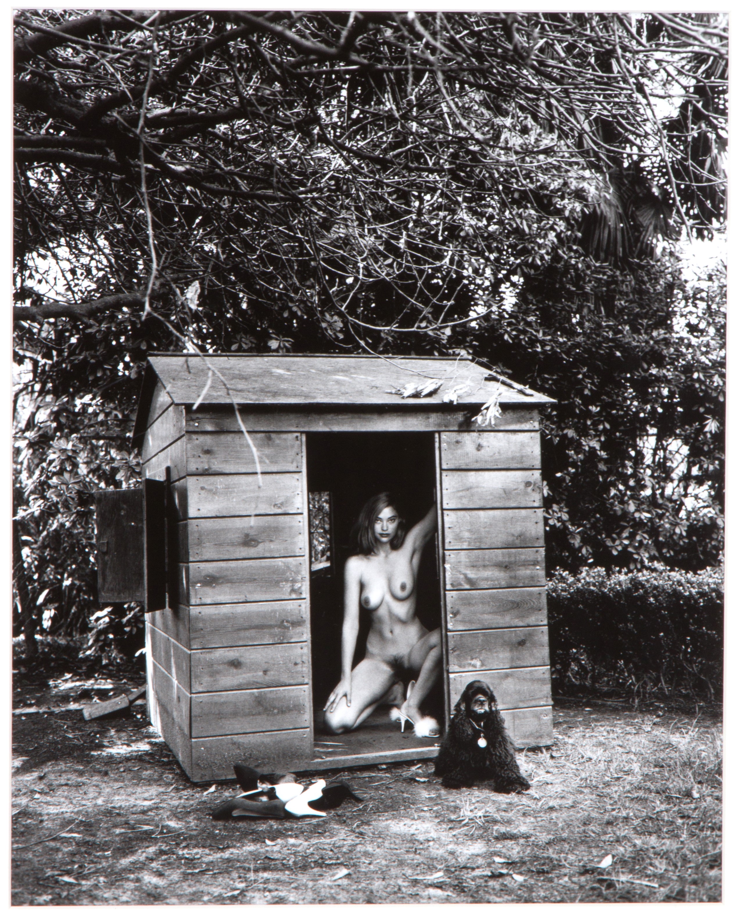 Helmut Newton - "domestic Nude", Holliwood, 1992"