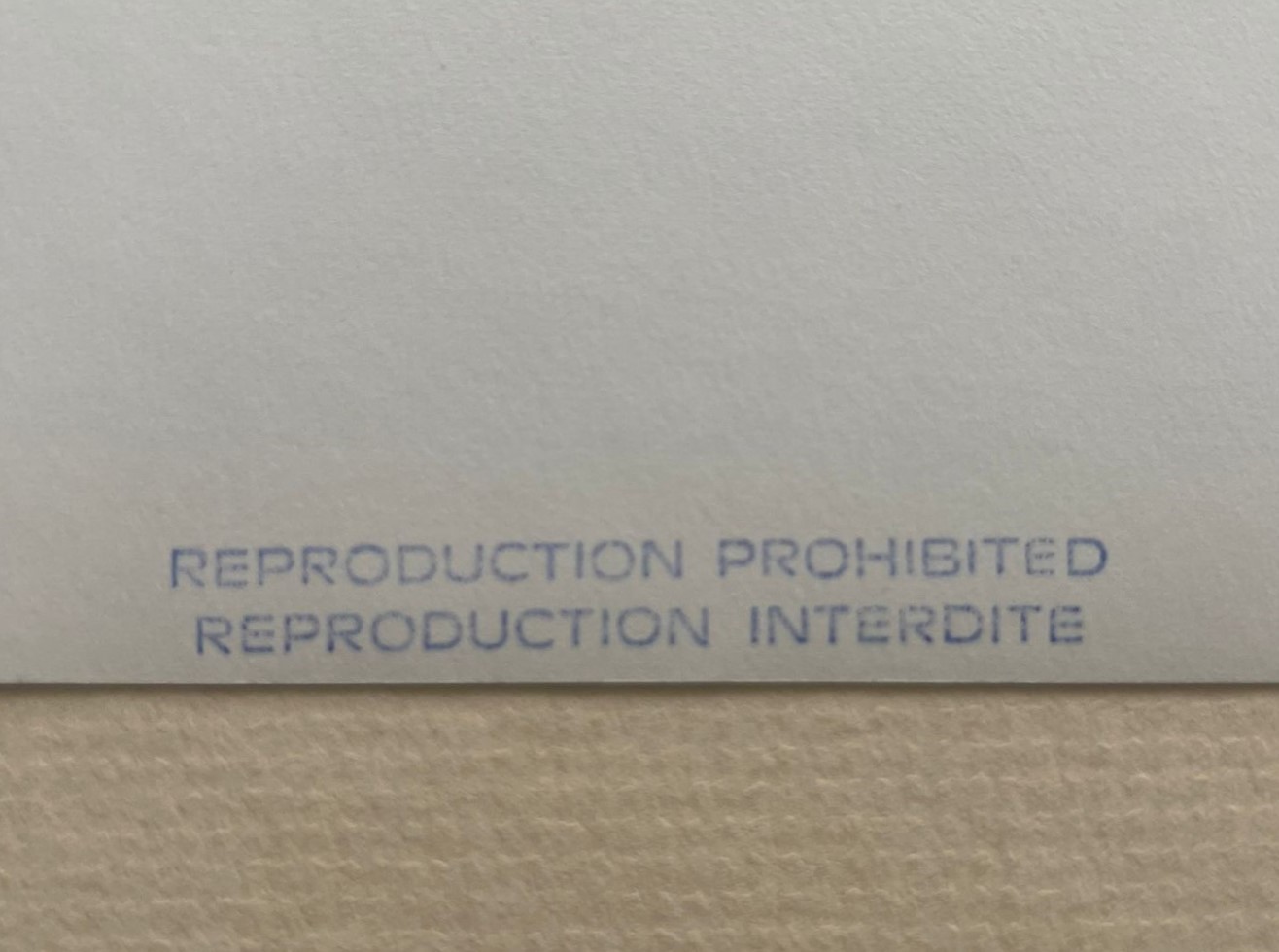 Helmut Newton - "domestic Nude 7, Los Angeles, 1992"