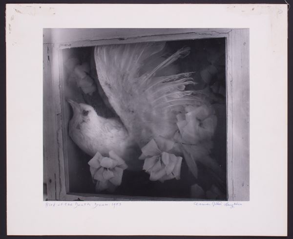 CLARENS JOHN LAUGHLIN - "BIRD OF THE DEATH DREAM: 1953"