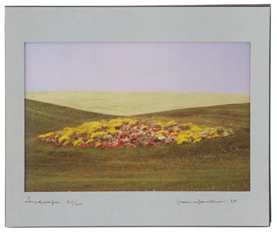"landscape, 1975"