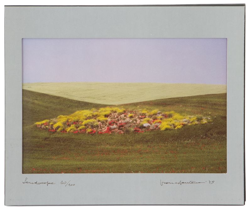 Franco Fontana - "landscape"