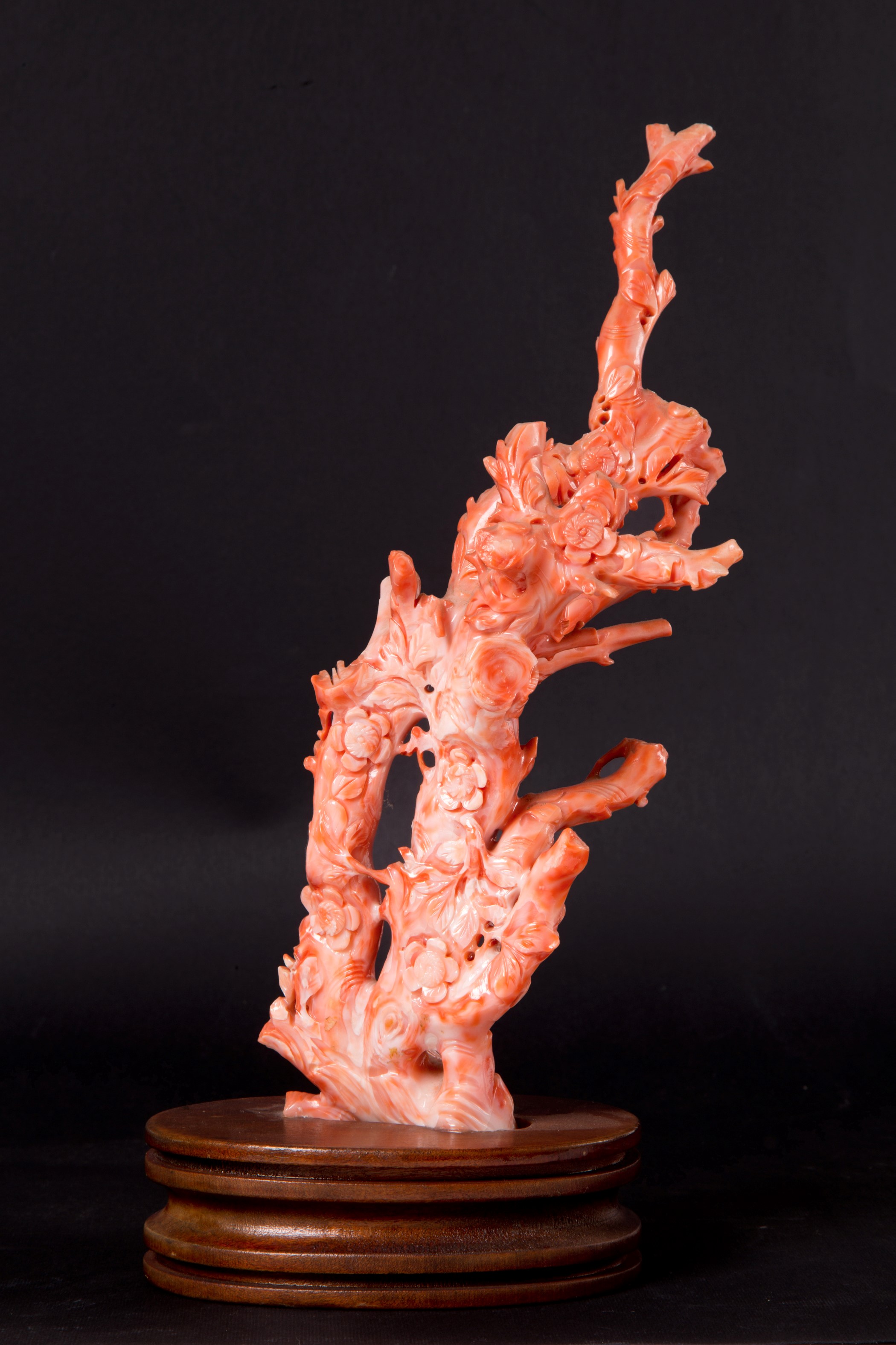 Scultura "RAMO CON SCOIATTOLI" in corallo
