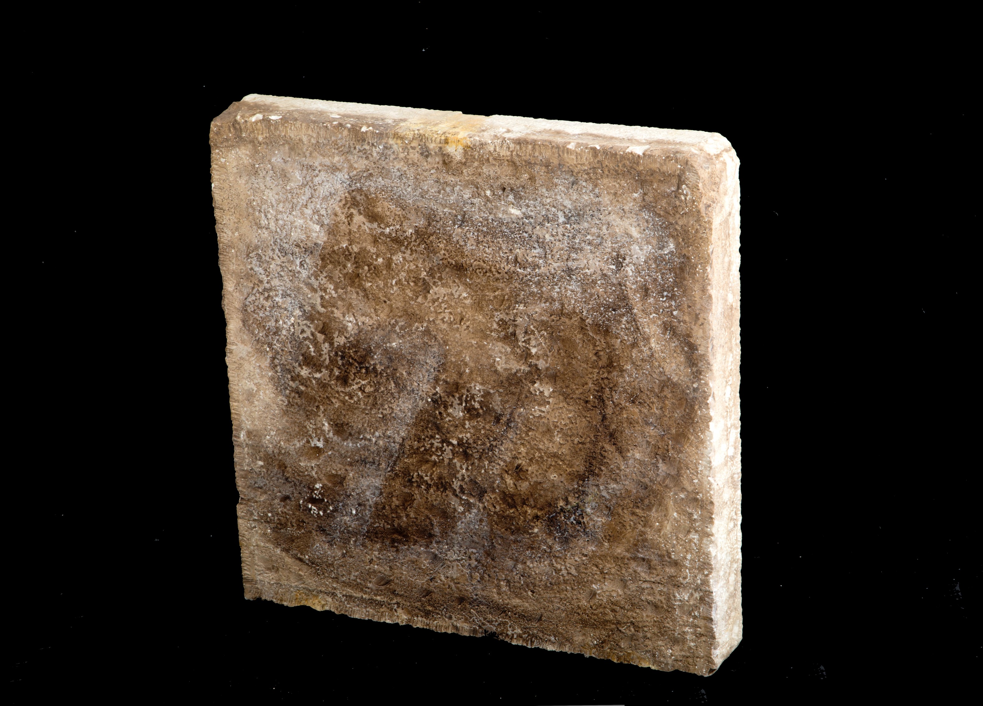 Bassorilievo "LEONE DI SAN MARCO"