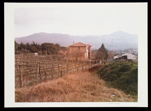 VINCENZO CASTELLA - “I VIGNETI”