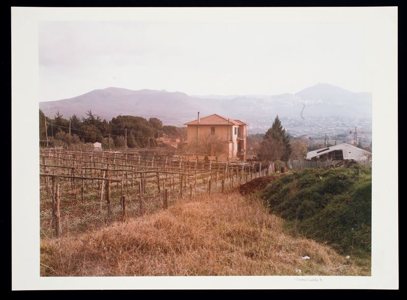 Vincenzo Castella - “i Vigneti”
