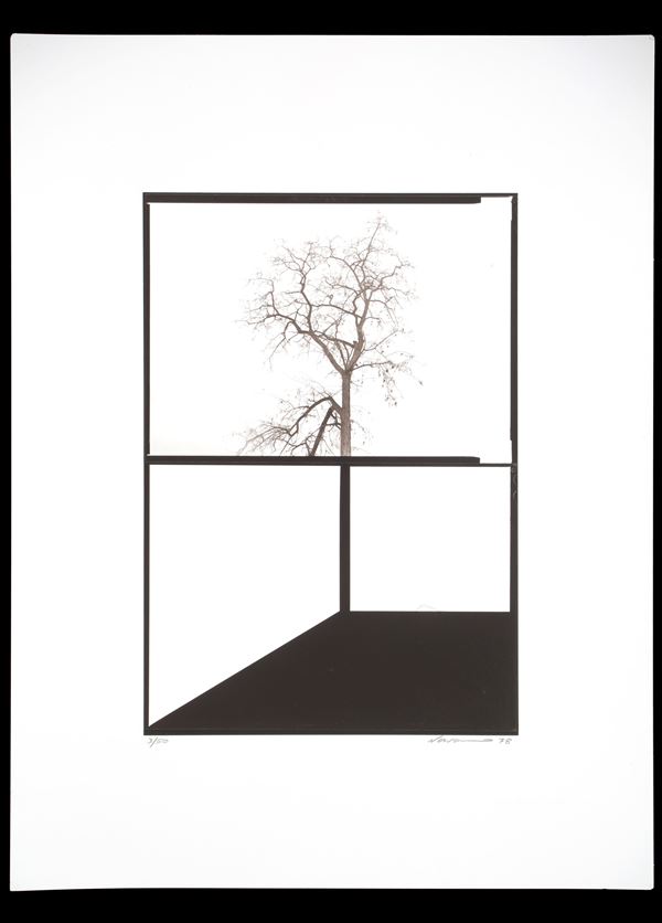 RAFAEL NAVARRO - “DIPTYCHICS”