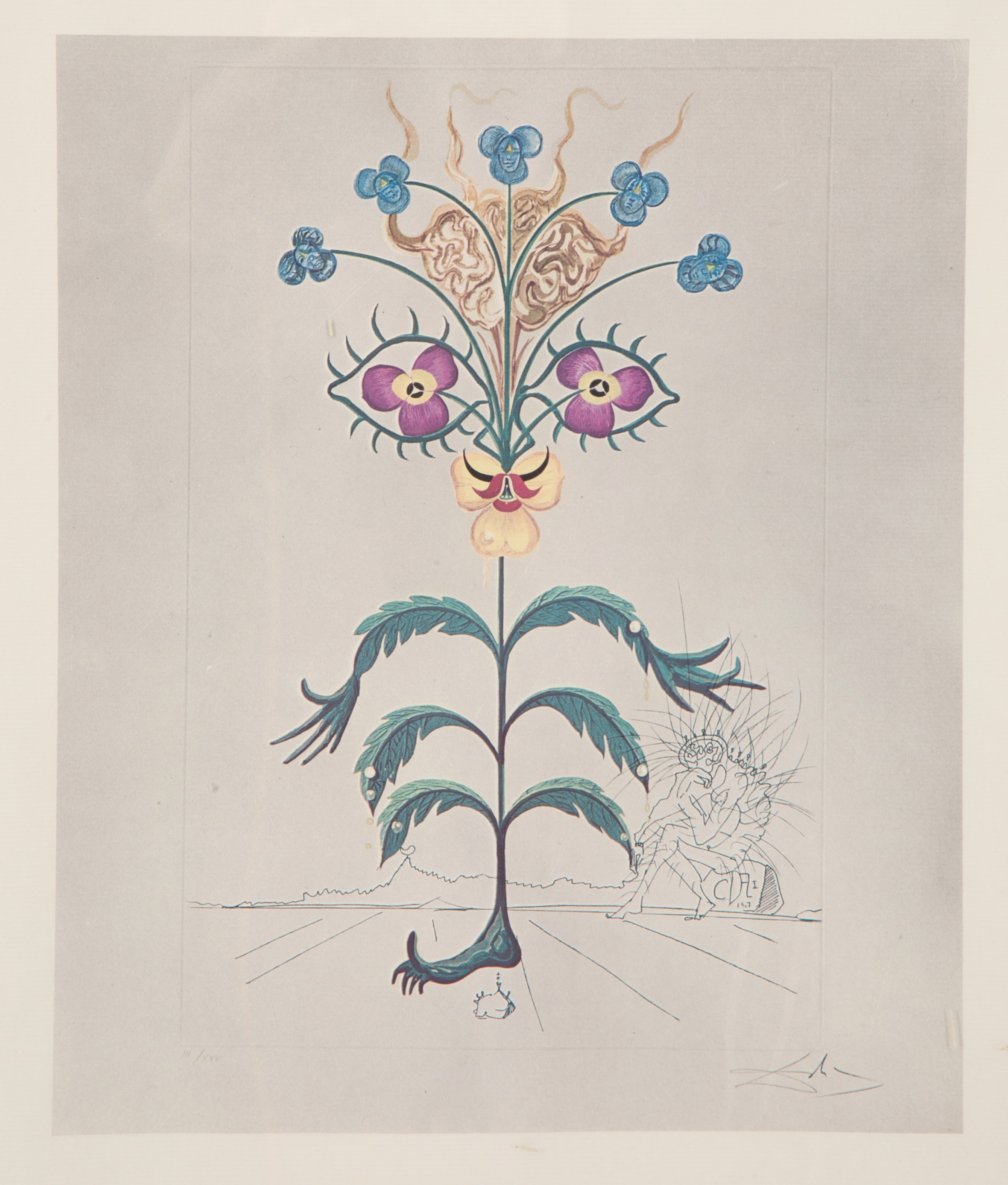 Salvador Dali' - Litografia "flora Dacinae Viola Cogitans"