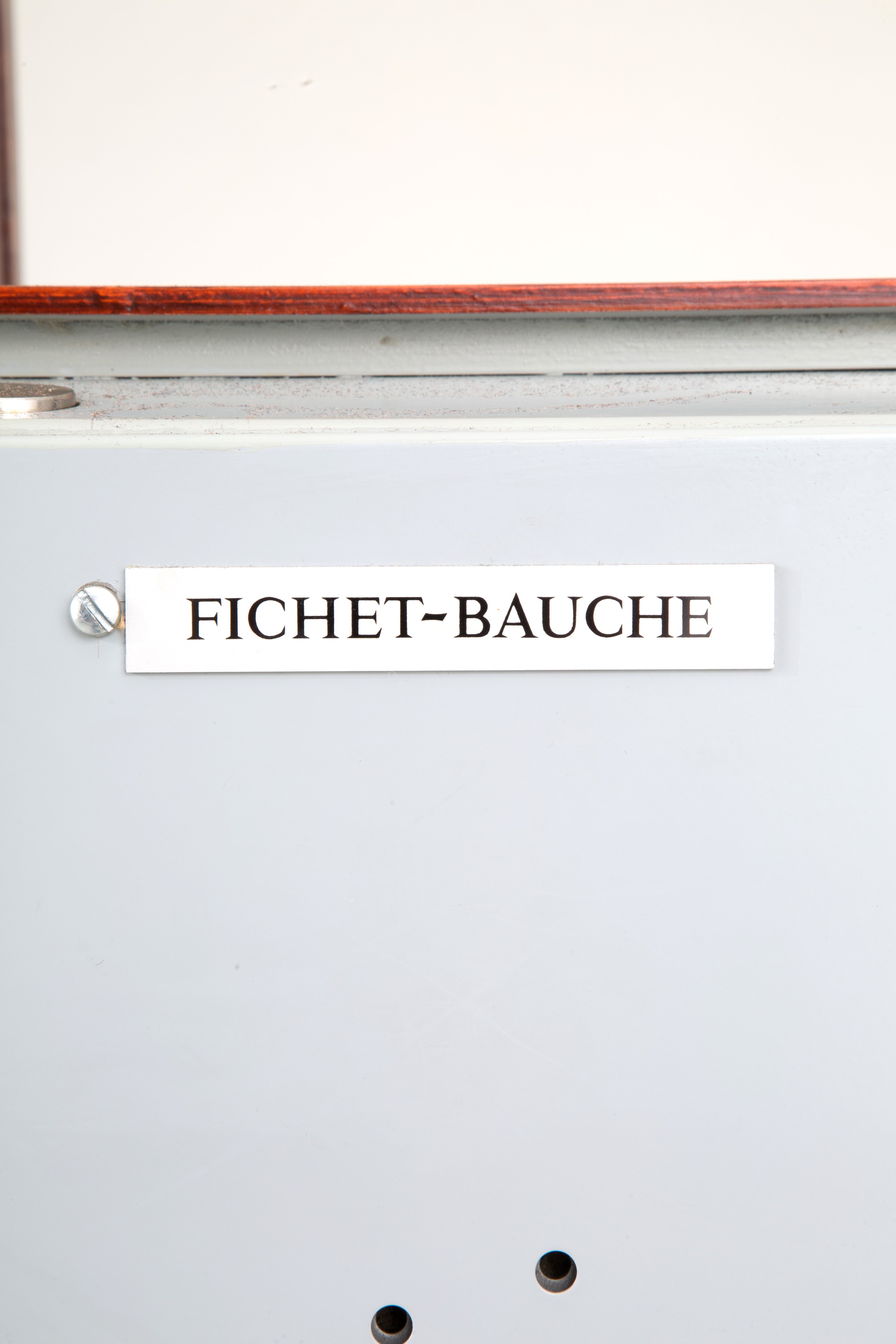 Cassaforte FICHET-BAUCHE