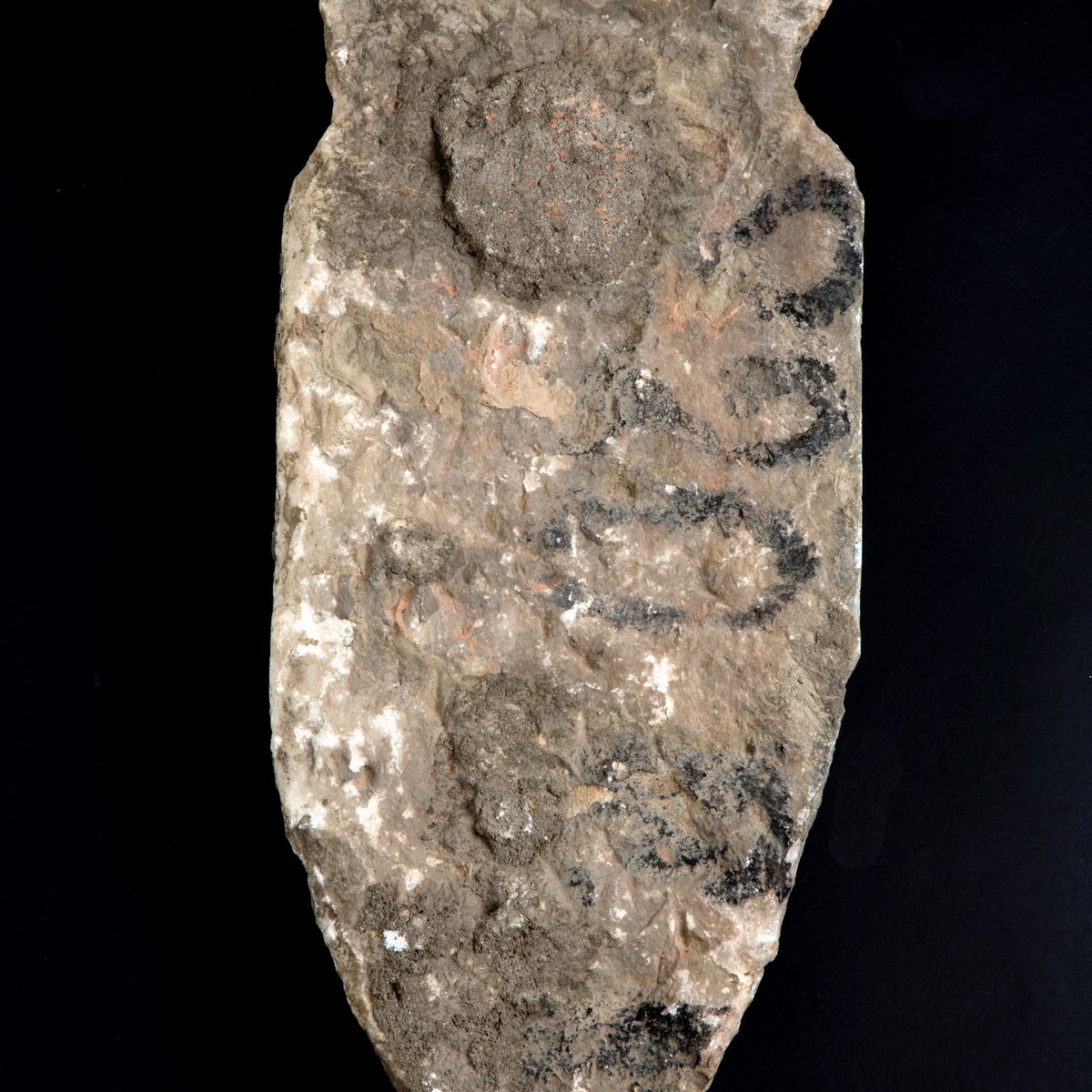 Scultura 'STEMMA VISCONTEO'