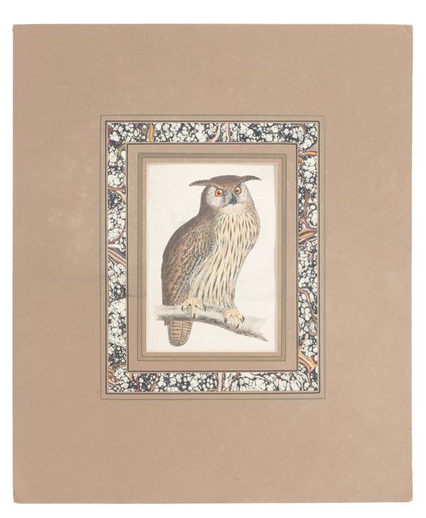 Engraving "EAGLE OWL".
