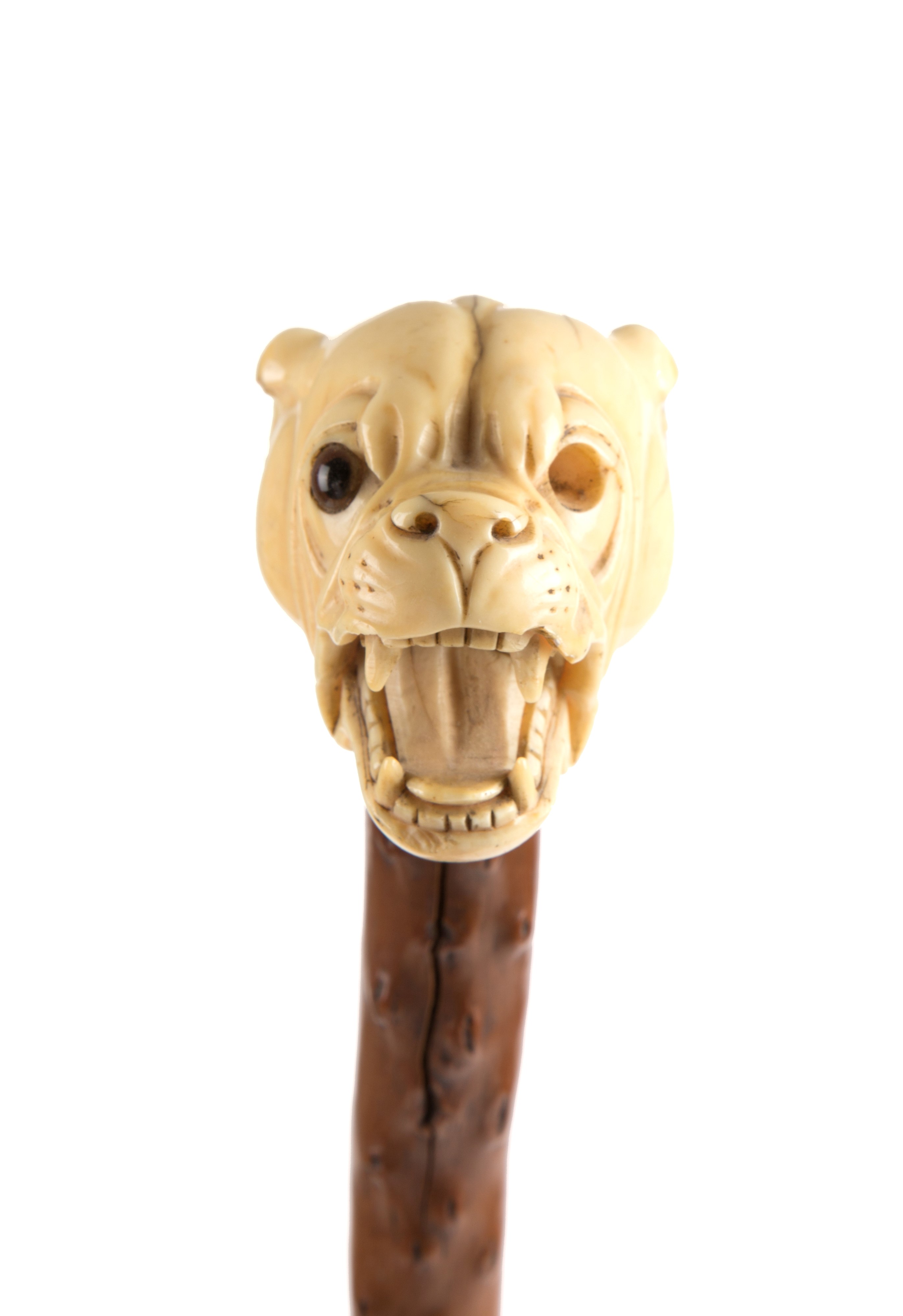 Bastone da passeggio