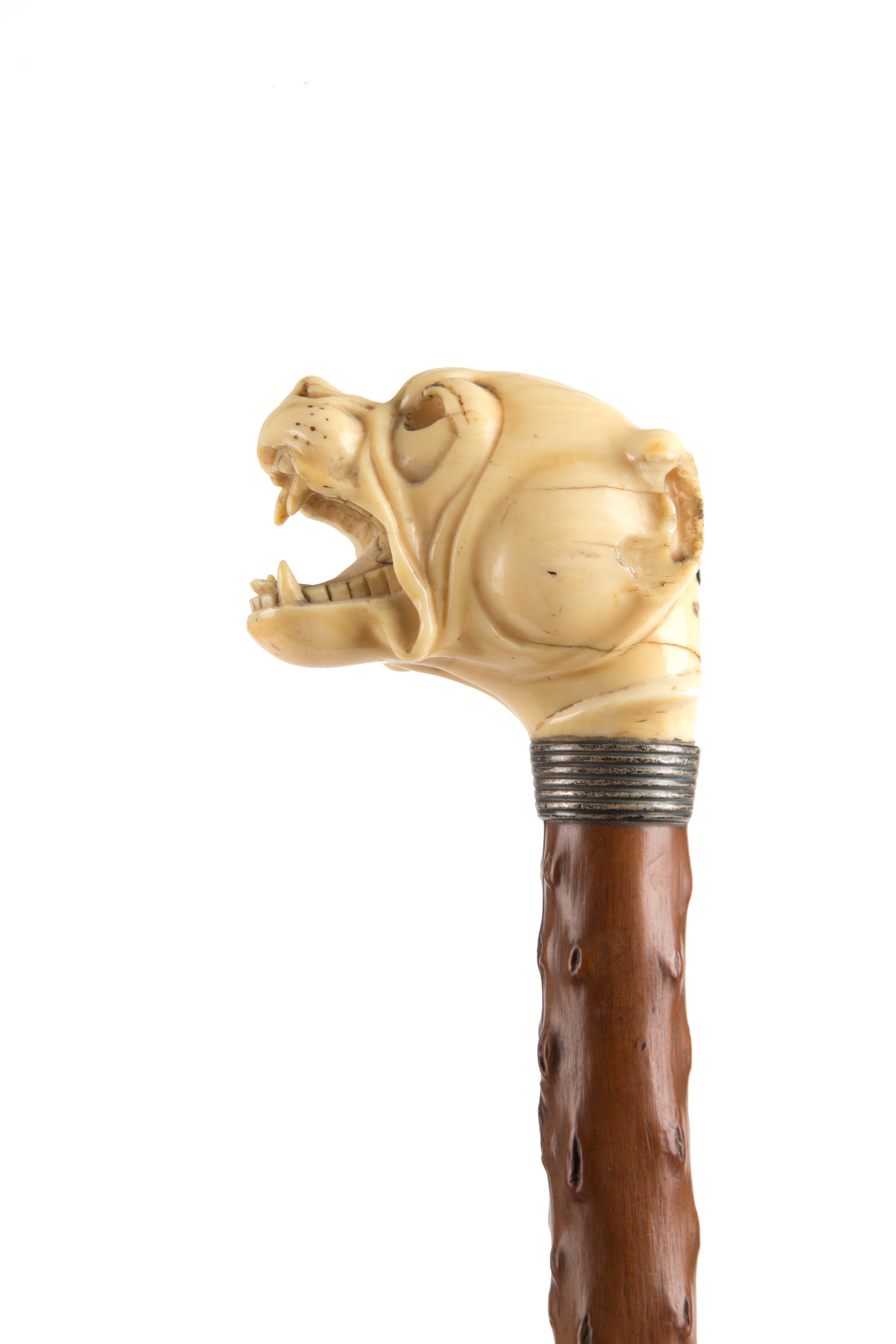 Bastone da passeggio