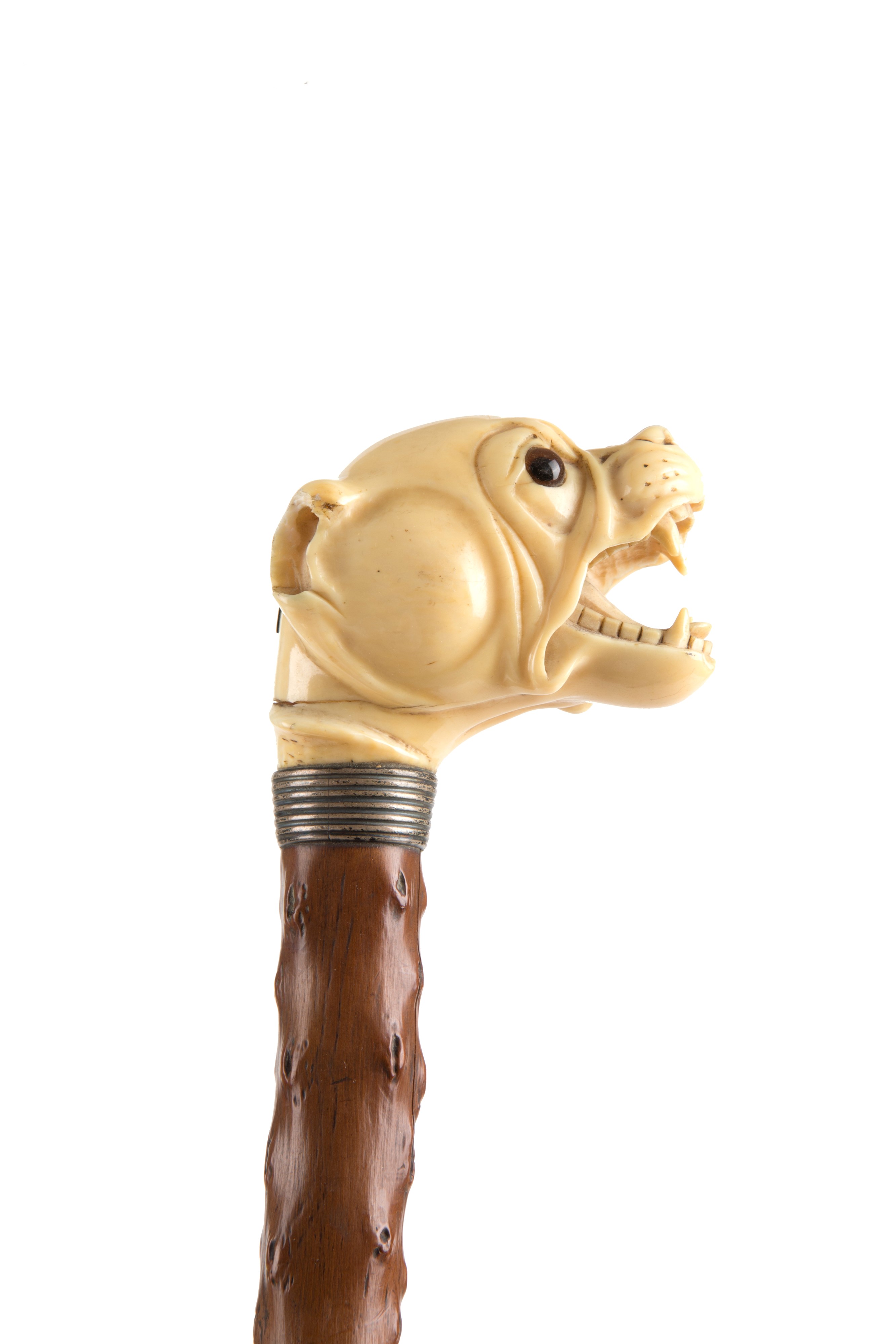 Bastone da passeggio