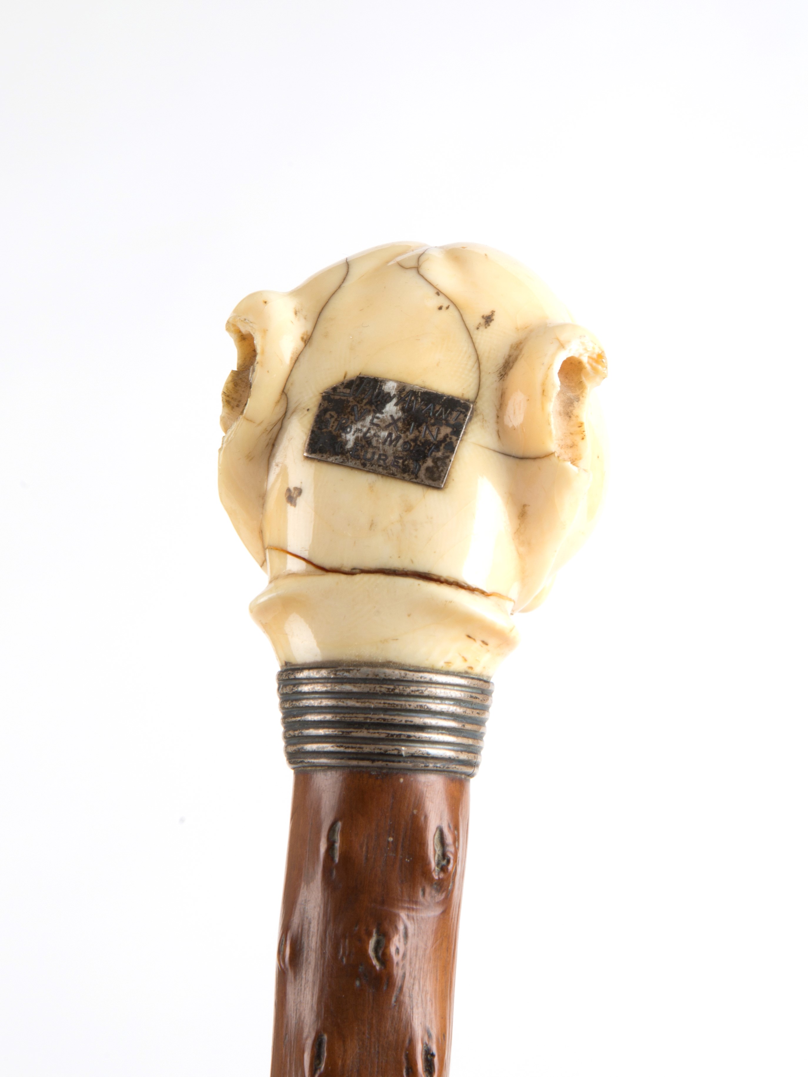 Bastone da passeggio