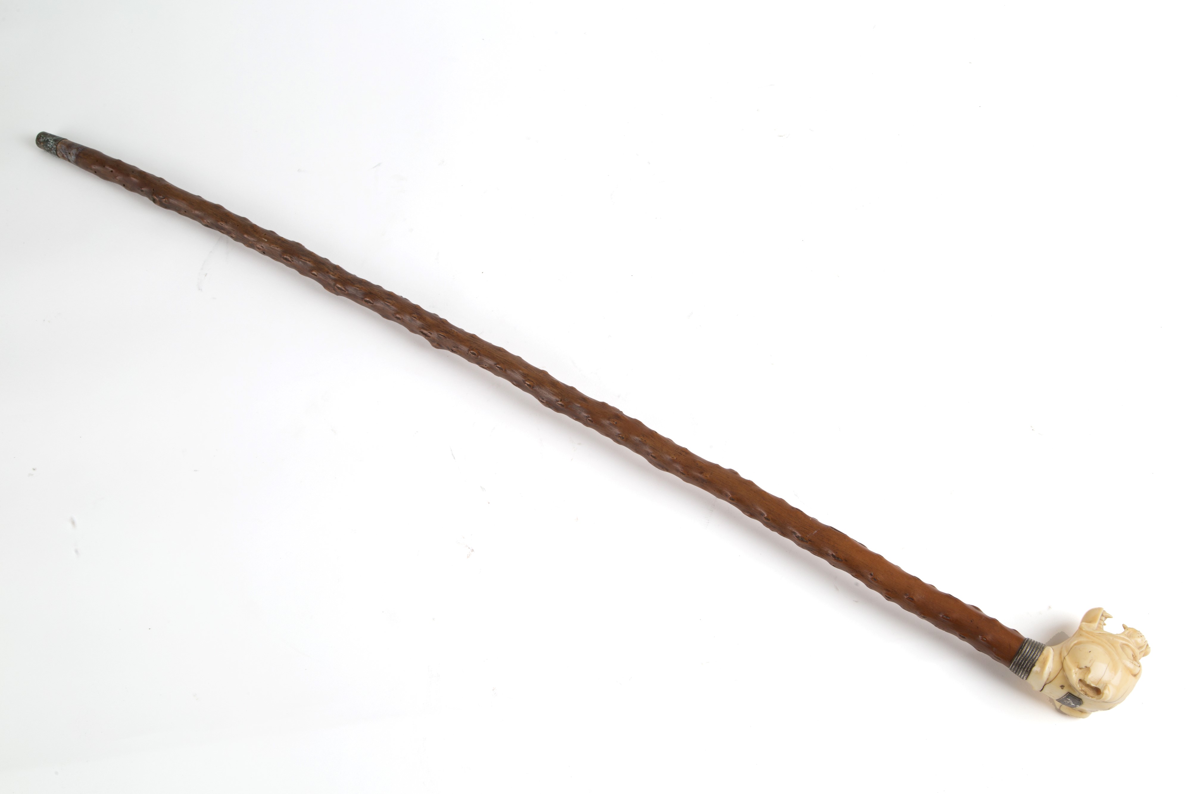 Bastone da passeggio