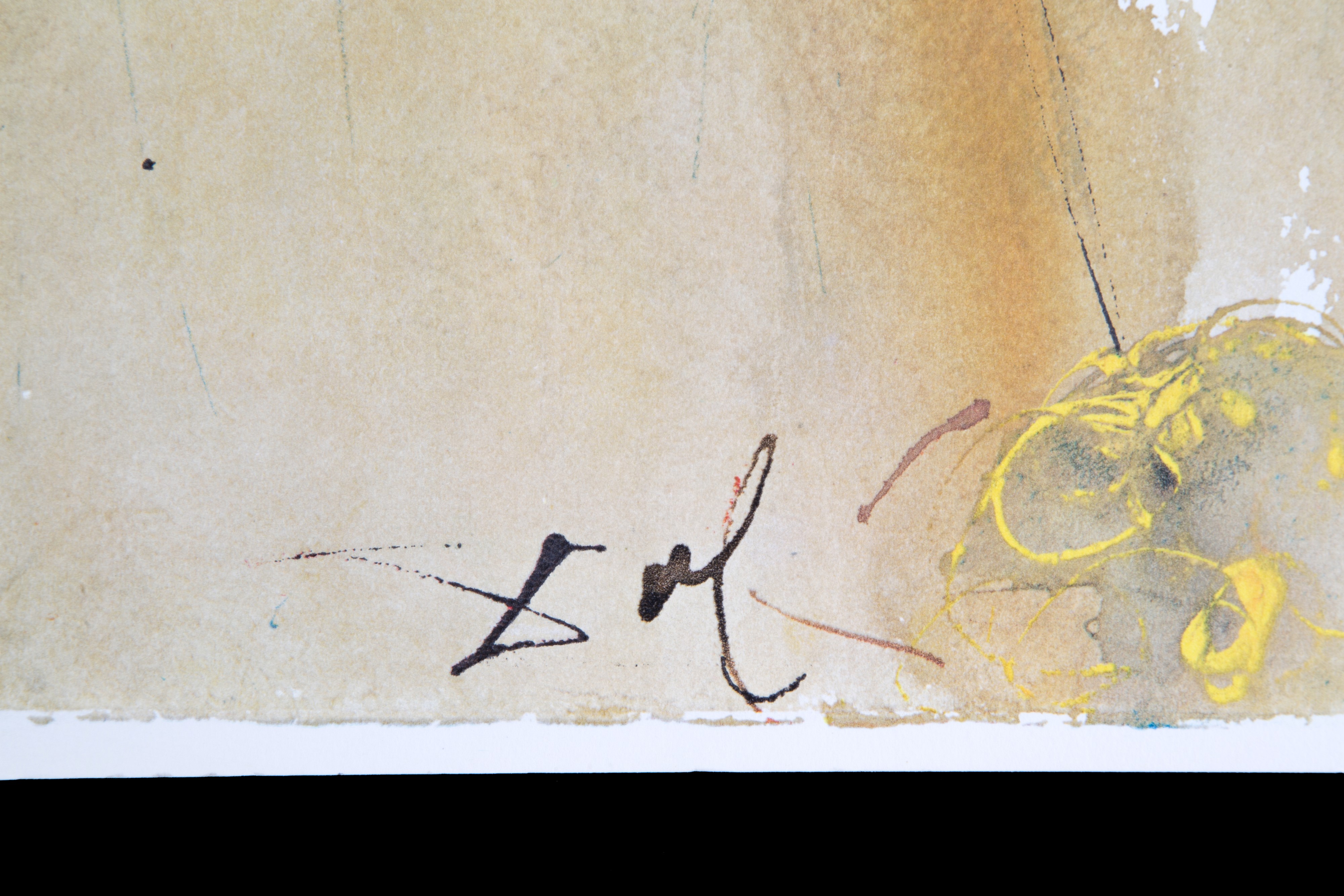 Salvador Dali' - Litografia 'vox Clamantis'