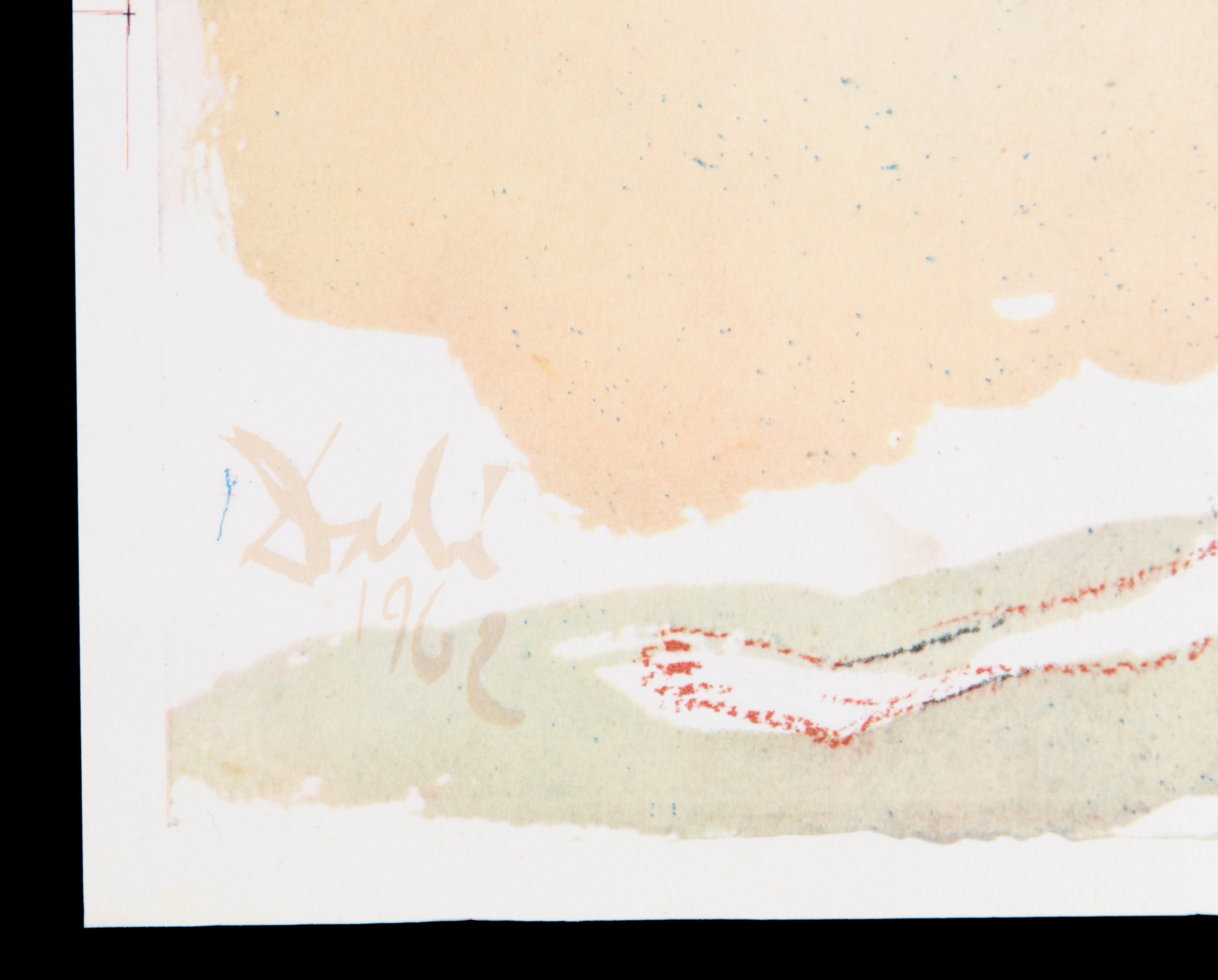 Salvador Dali' - Litografia "noe Qui Primus Plantavit Vineam"