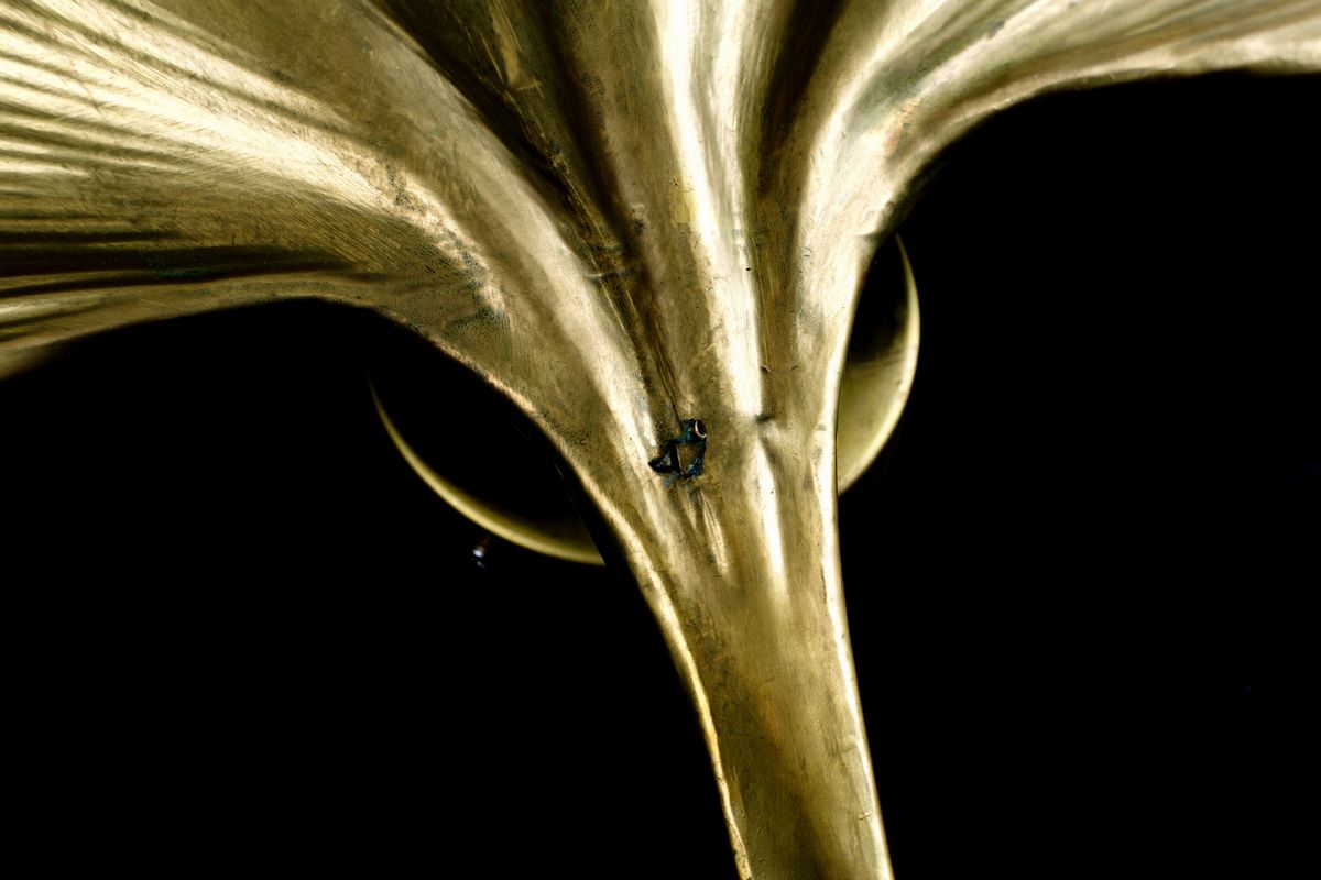 Coppia di Applique