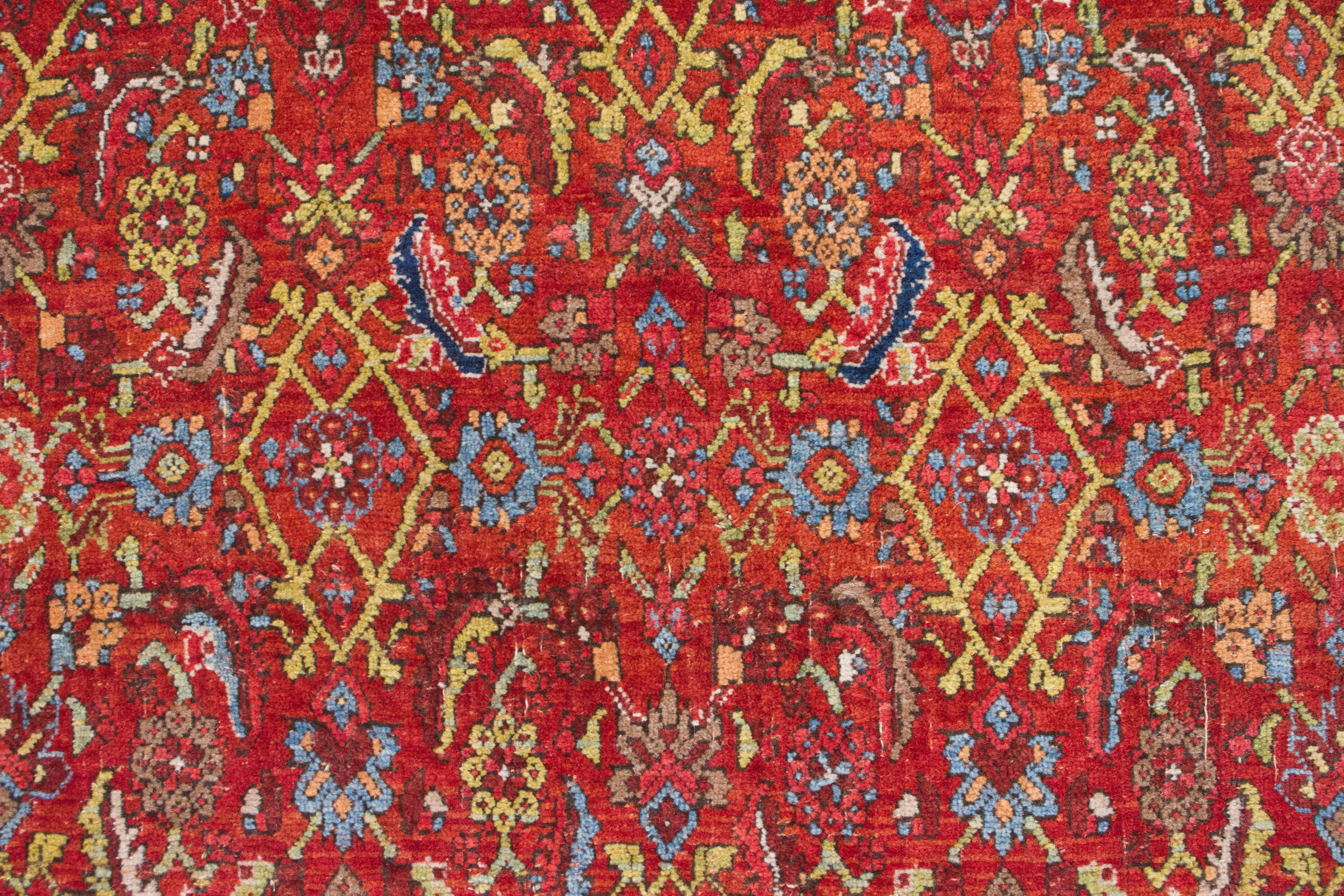 Tappeto Bidjar. Persia