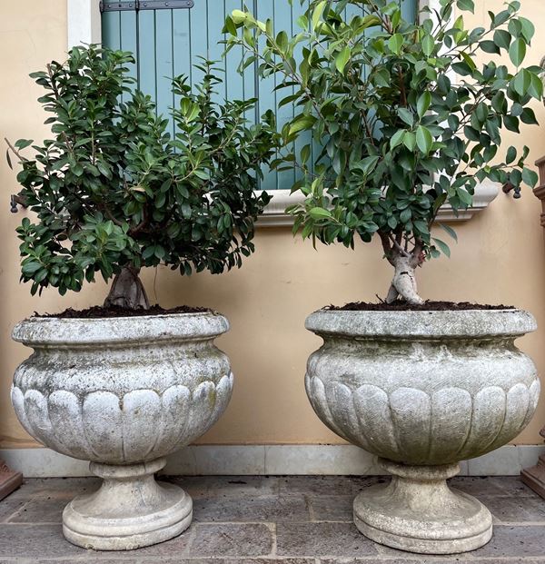 Coppia di vasi