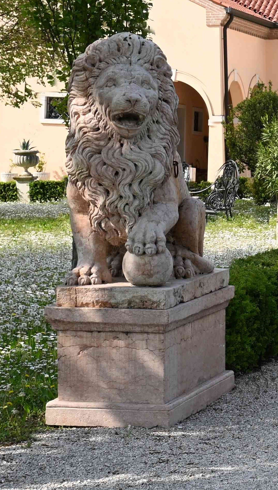 Coppia di Sculture "leoni"