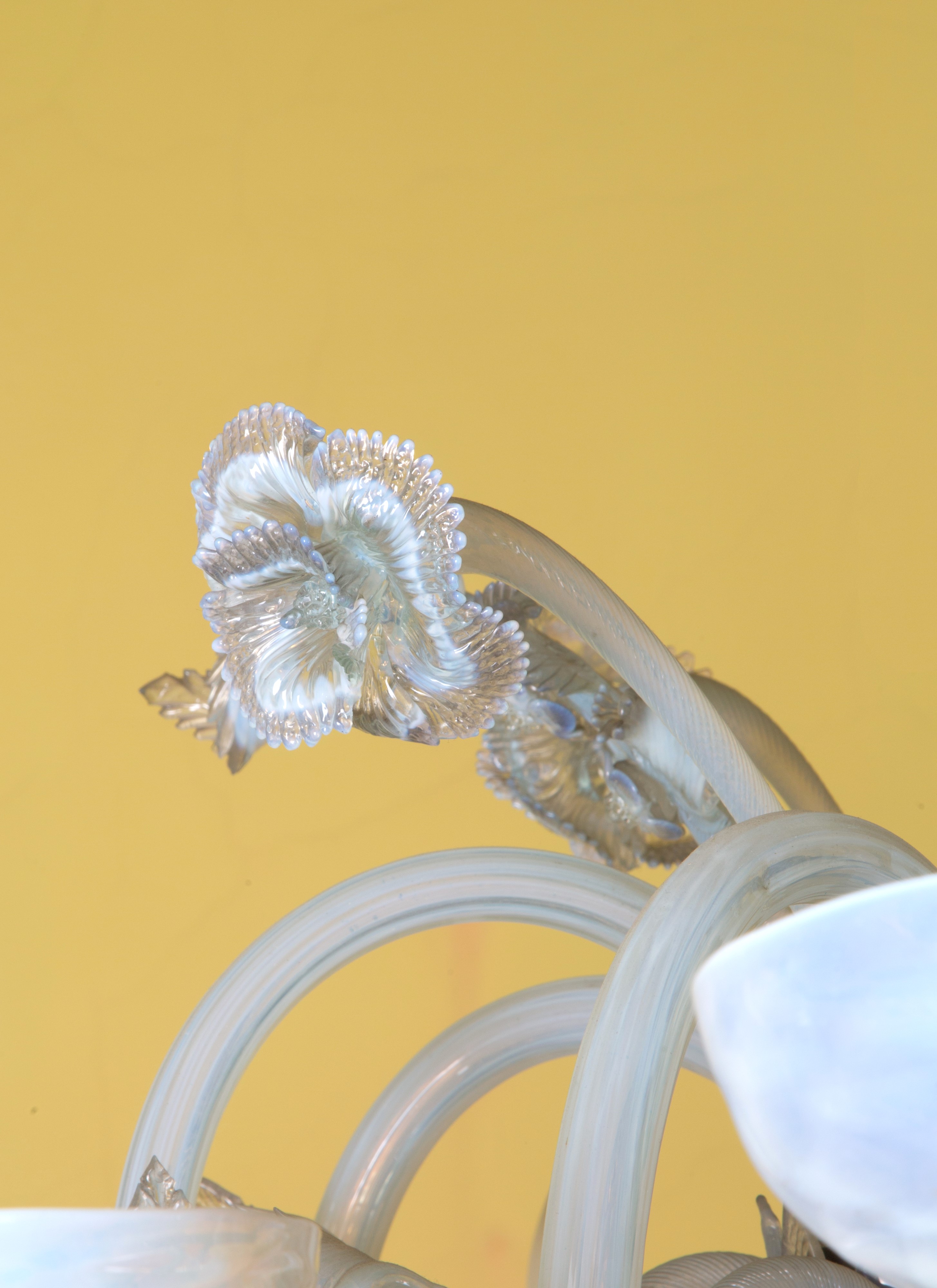 Lampadario in Vetro di Murano