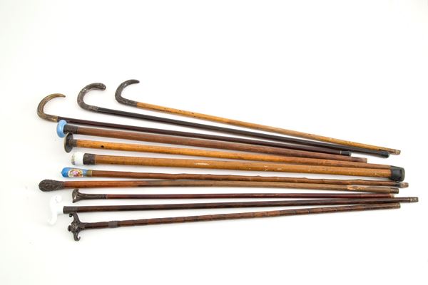 Eleven walking sticks