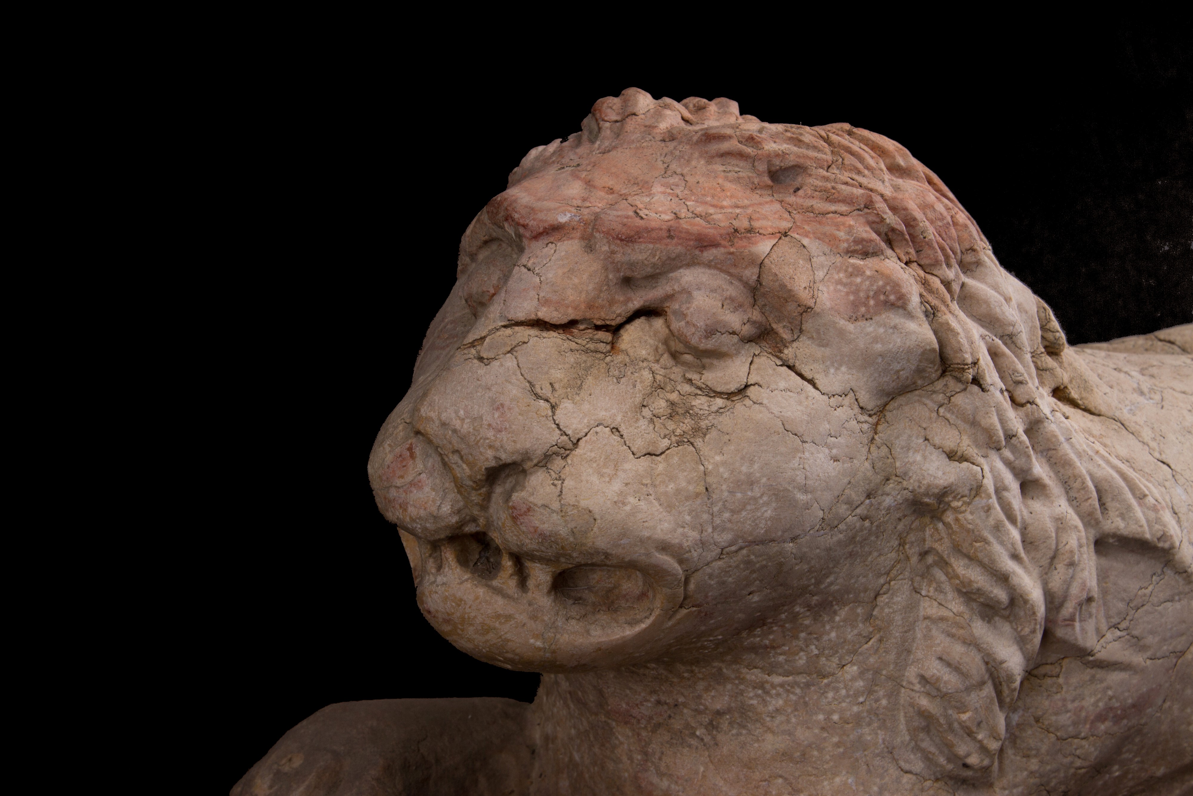 Coppia di Sculture "leoni Accovacciati"