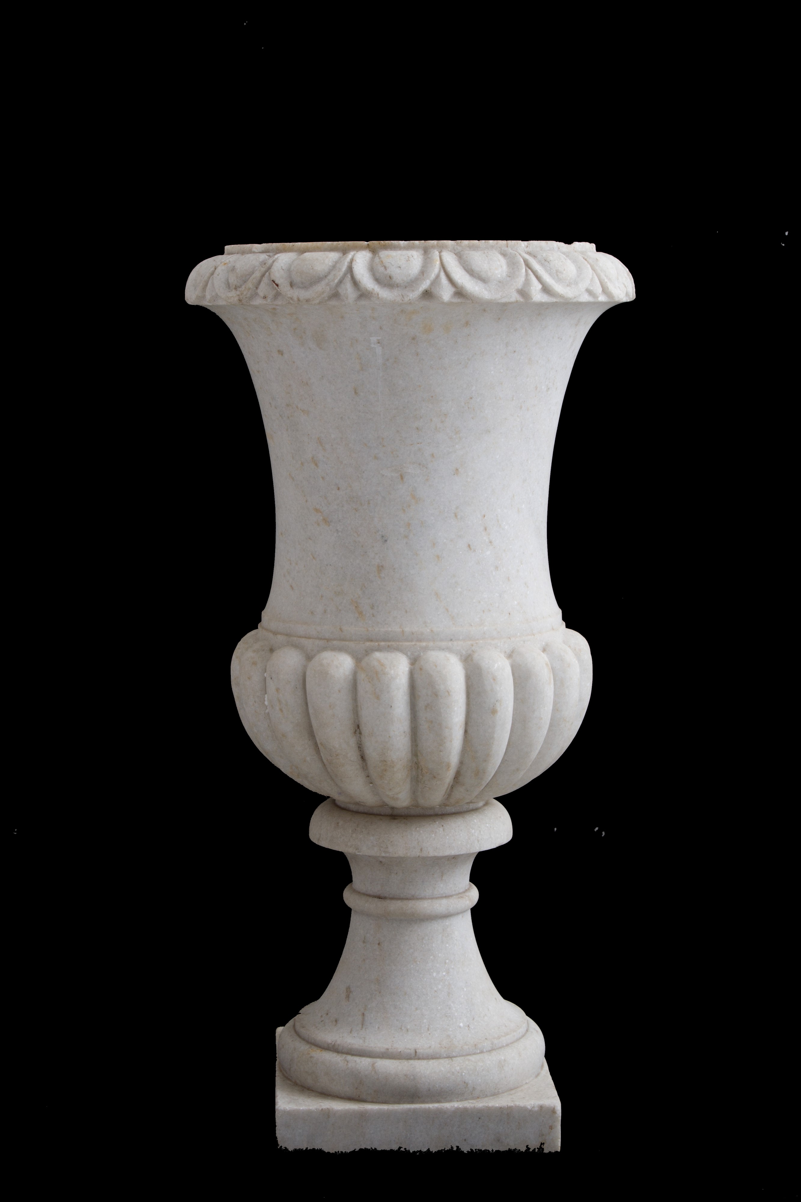 Coppia di vasi medicei