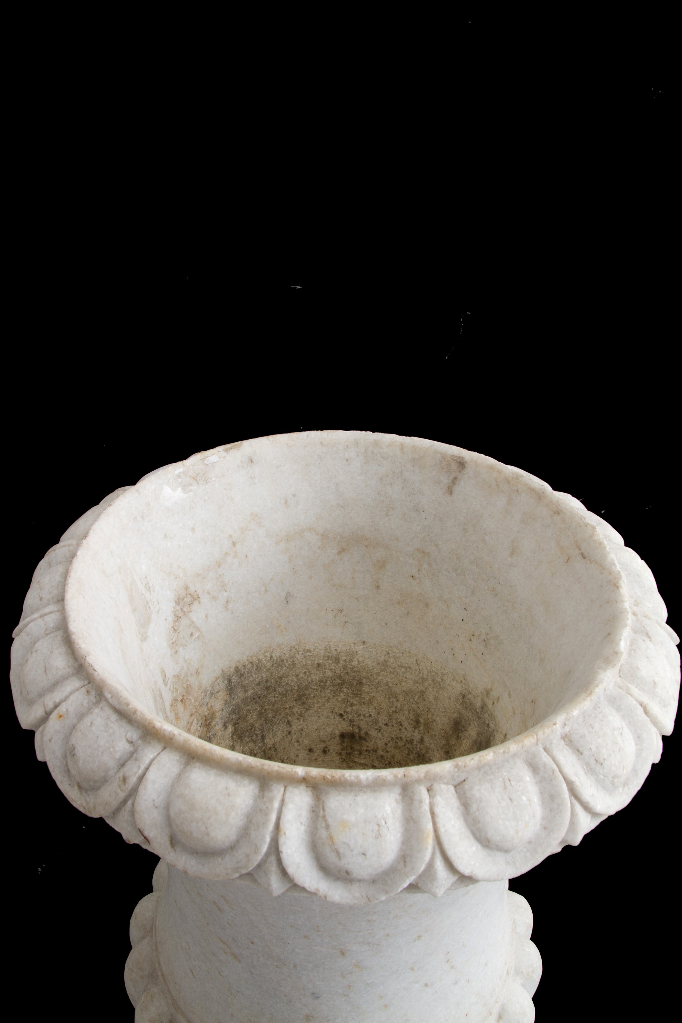 Coppia di vasi medicei