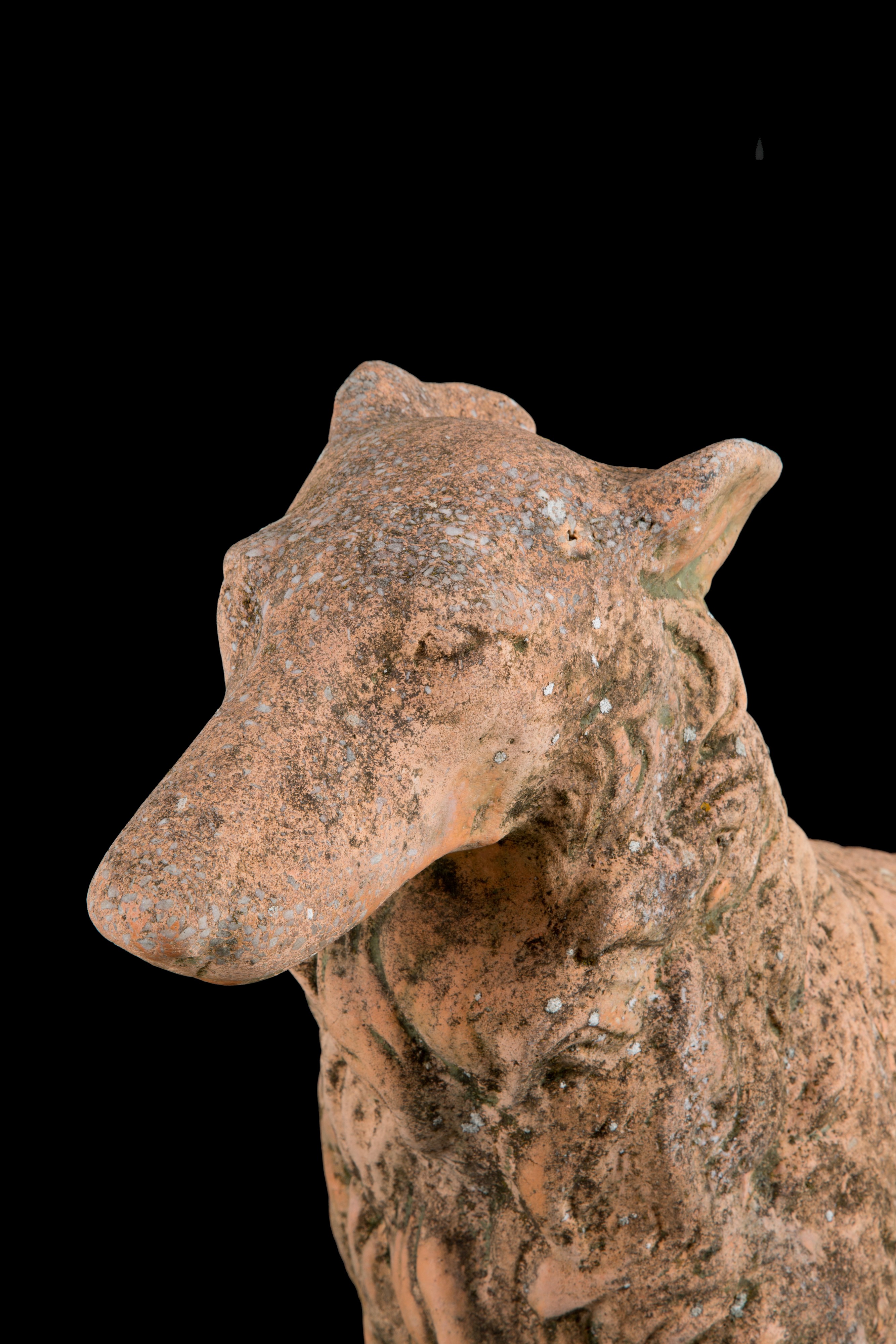 Coppia di Sculture "cani"
