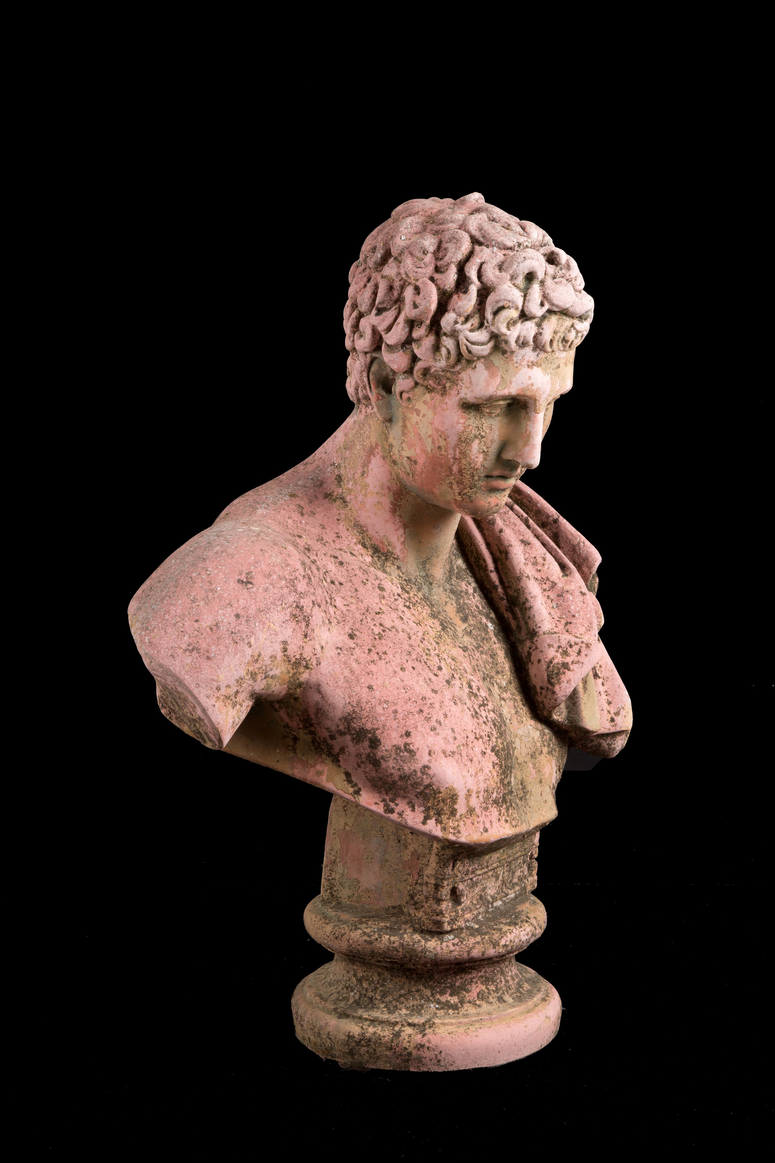 Scultura "busto di Antinoo"