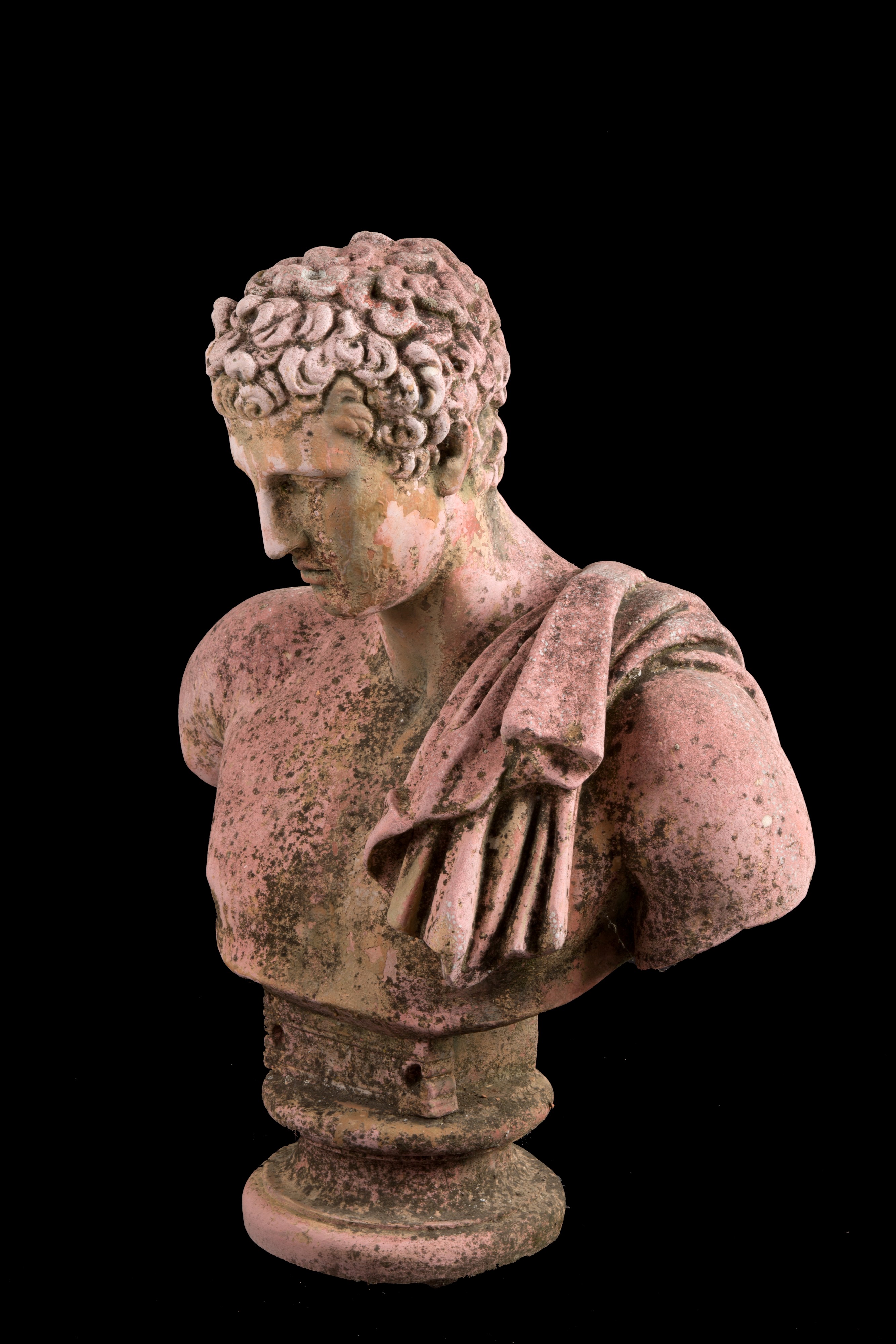 Scultura "busto di Antinoo"