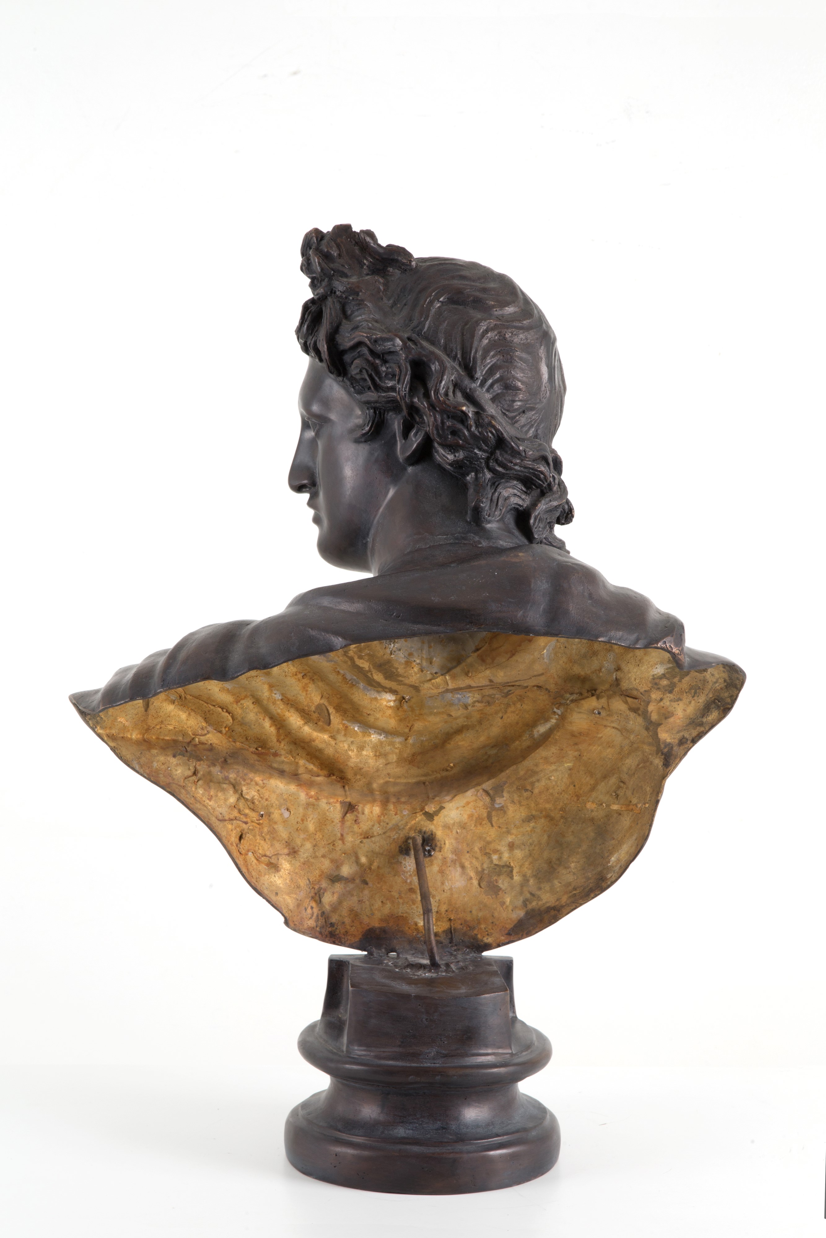 Scultura in Bronzo "busto Dell'apollo del Belvedere"
