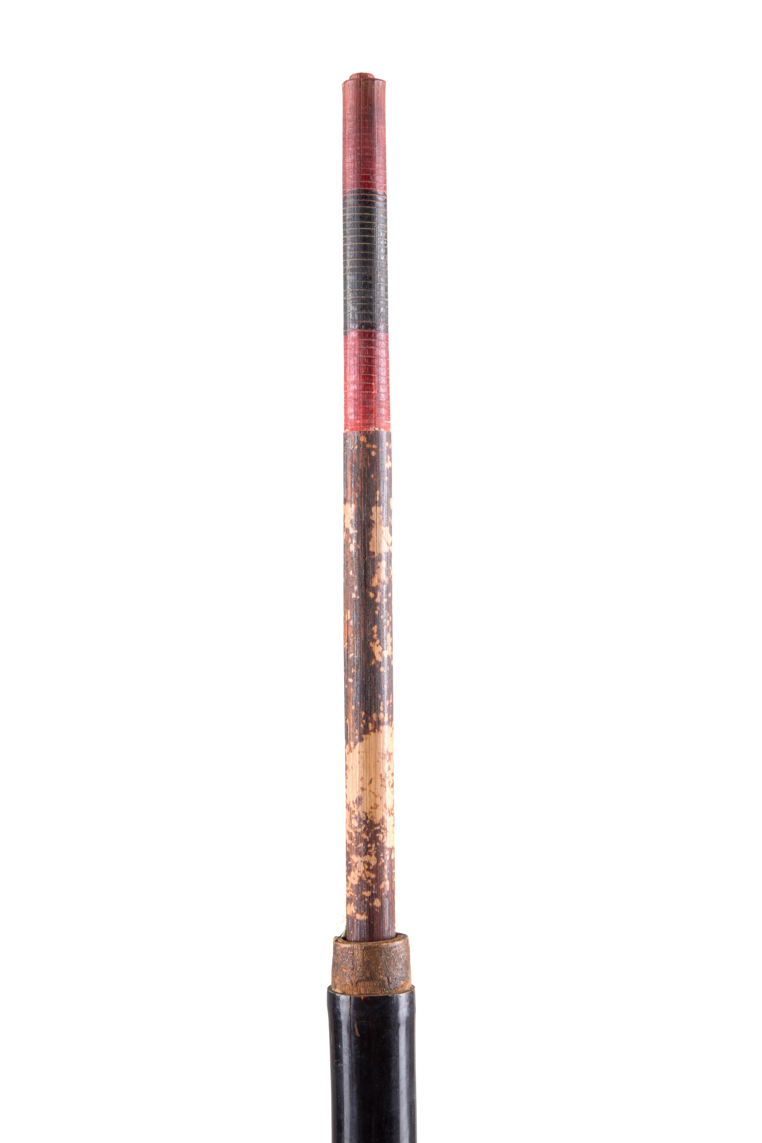Bastone animato con canna da pesca